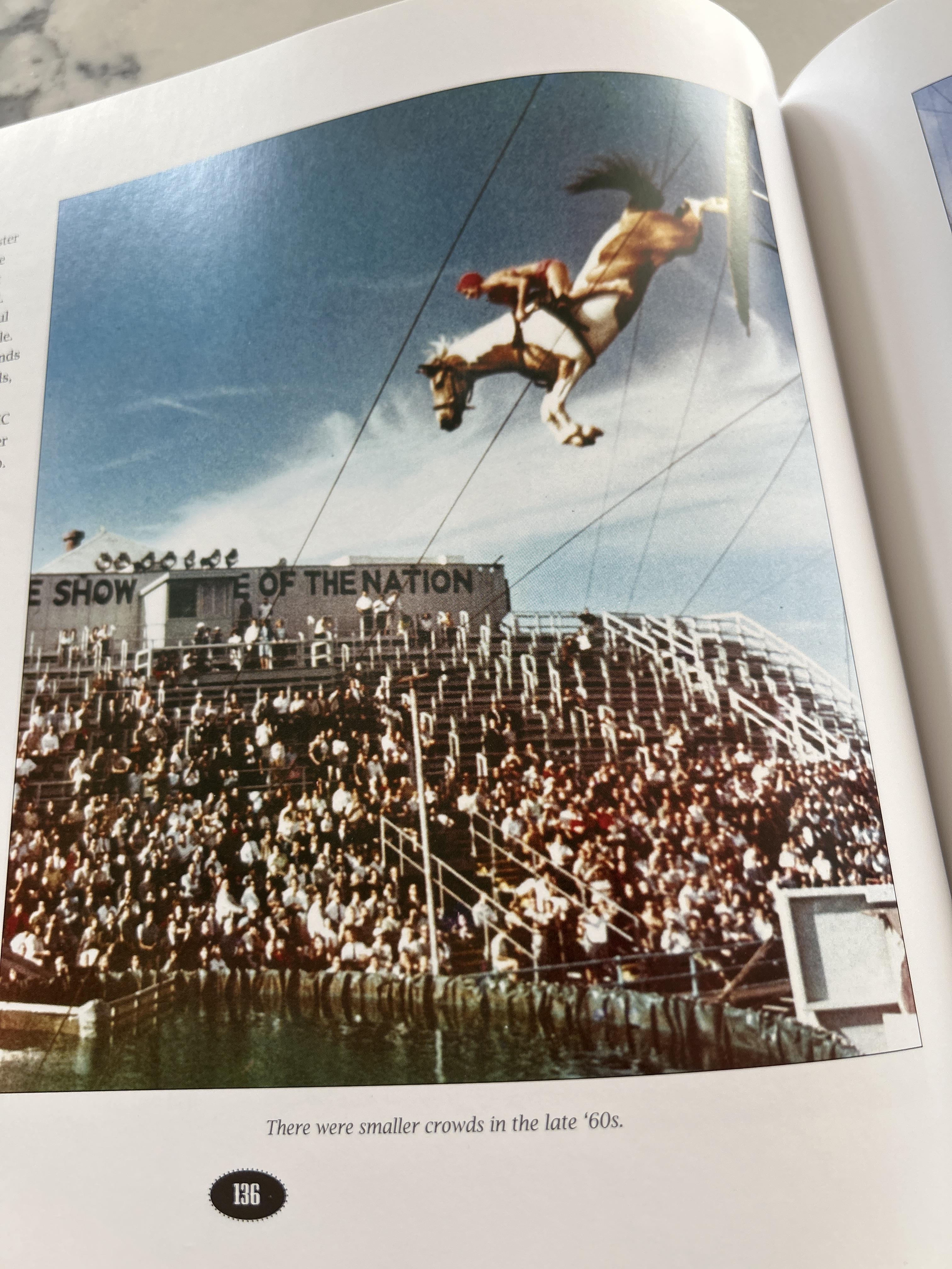 A horse jumping over a crowd of people