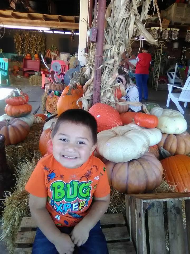 A boy sitting in front of a pile of pumpkins
