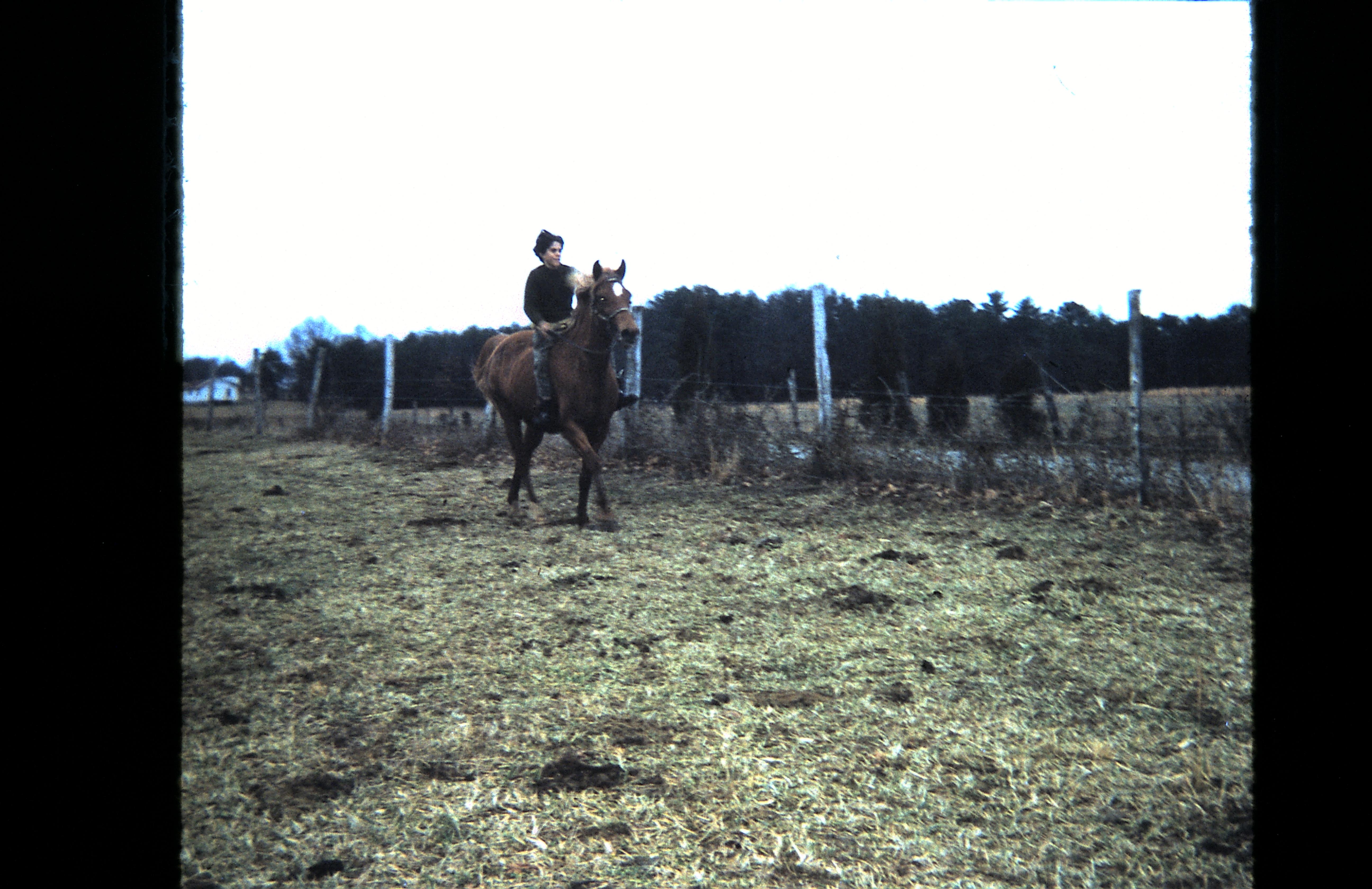 A person riding a horse