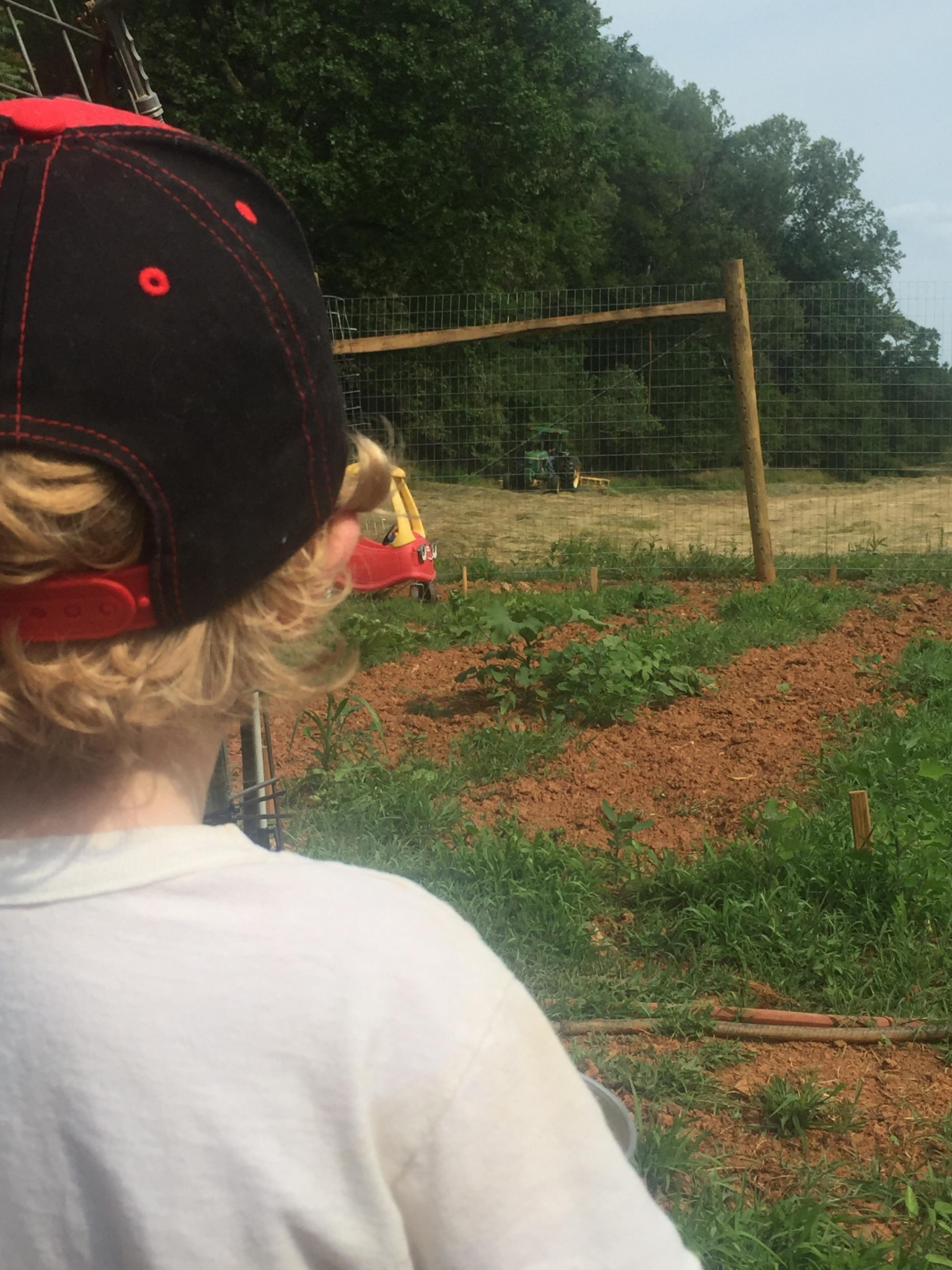 A child looking at a tractor in a field