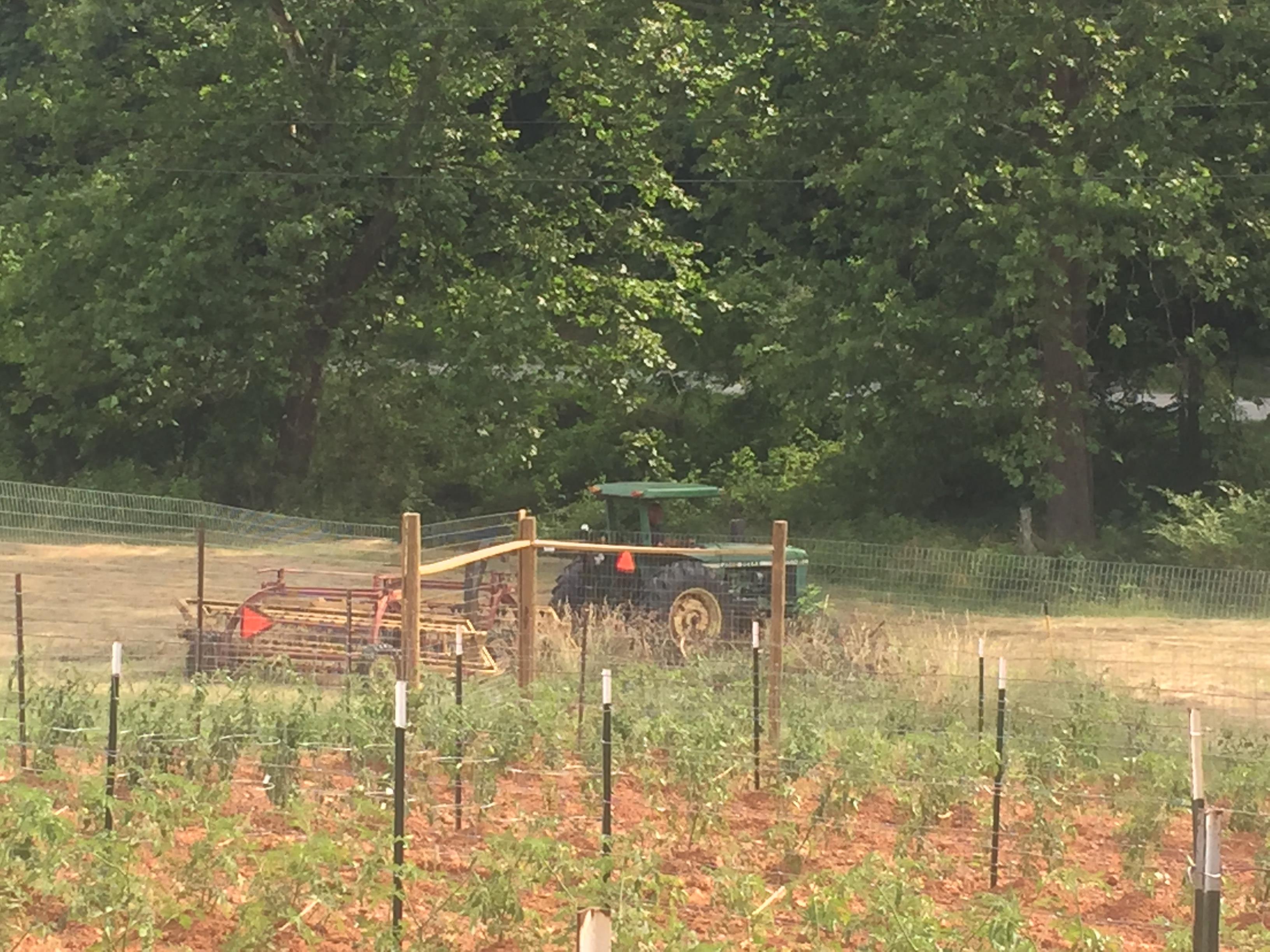 A tractor in a field