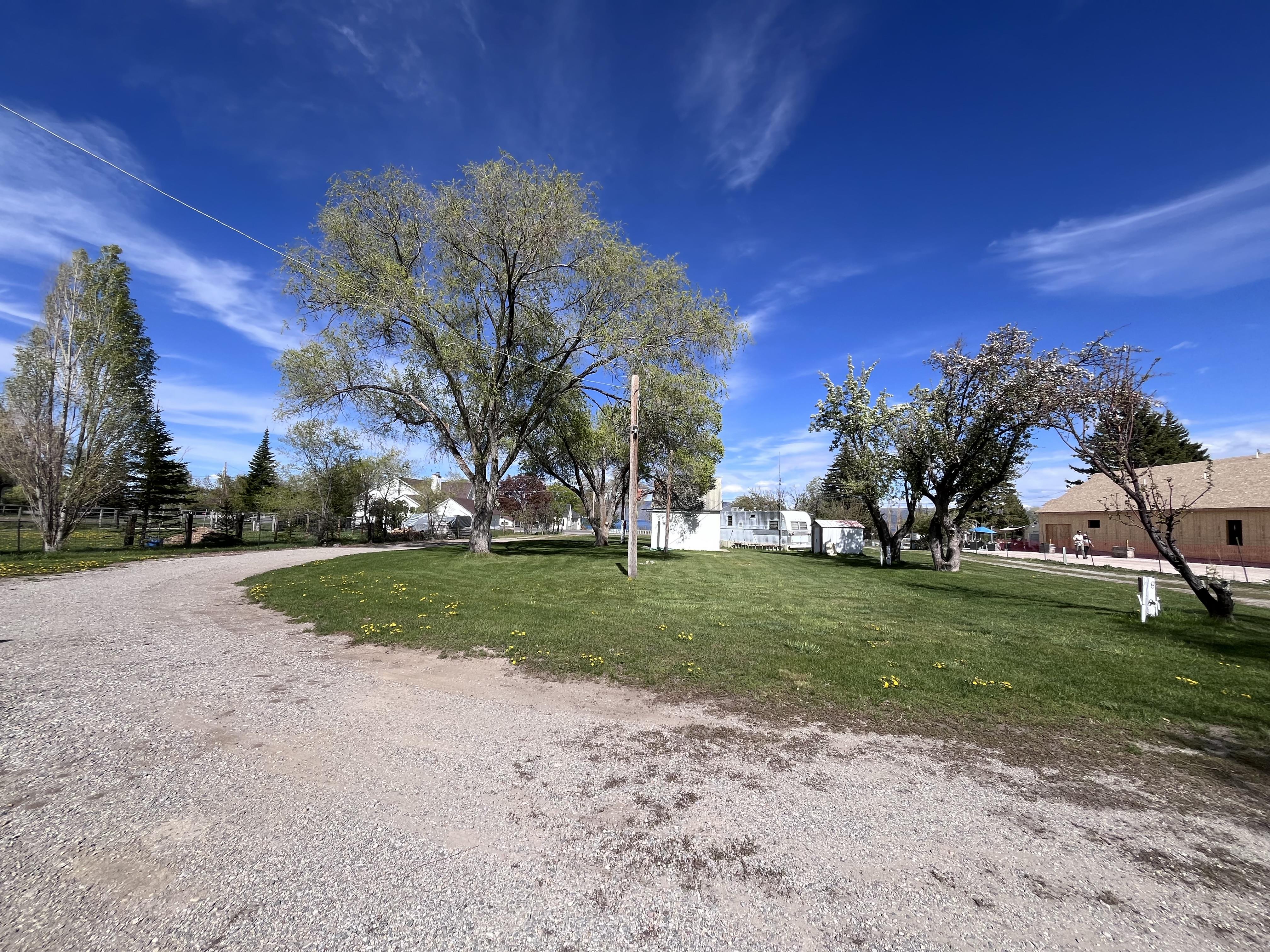 A road with trees and houses