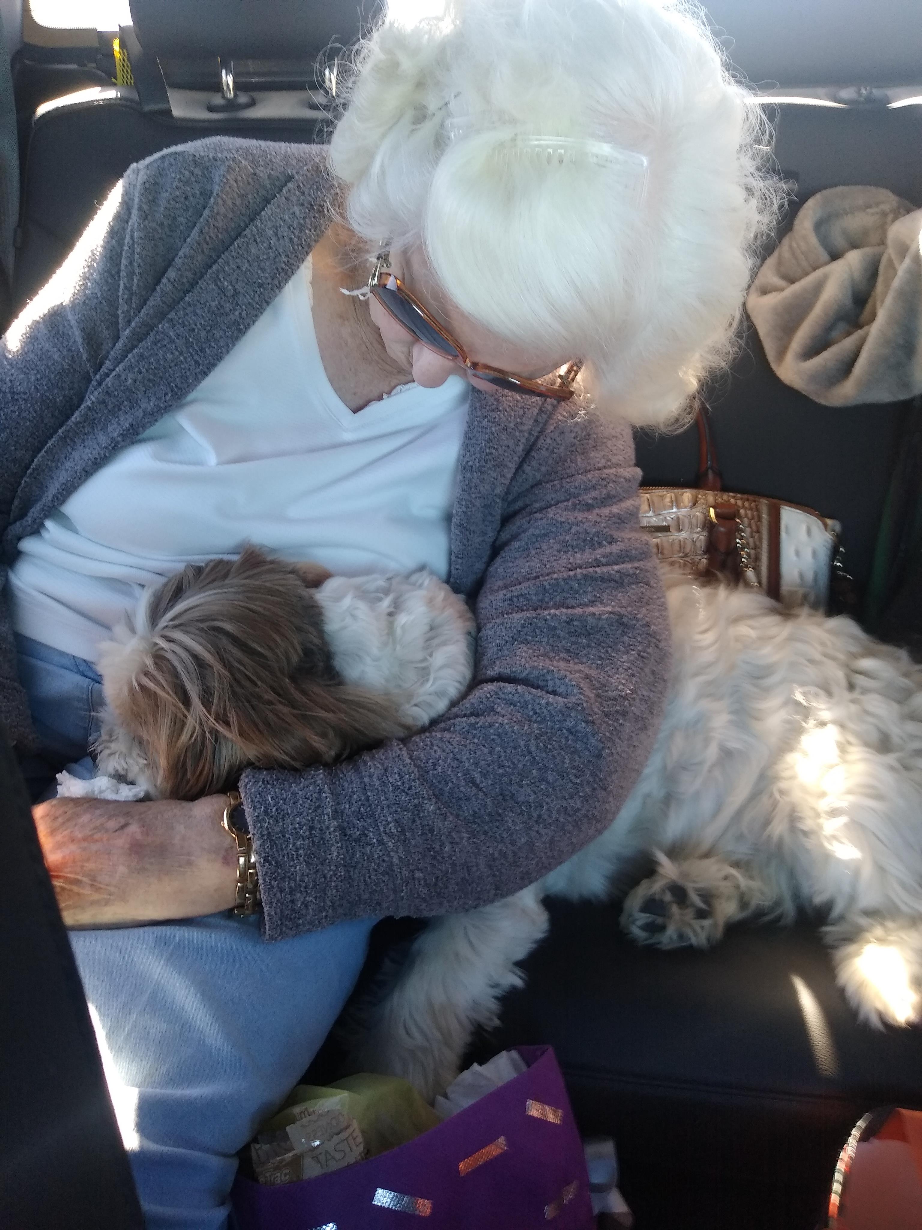 A woman with a white wig holding a dog