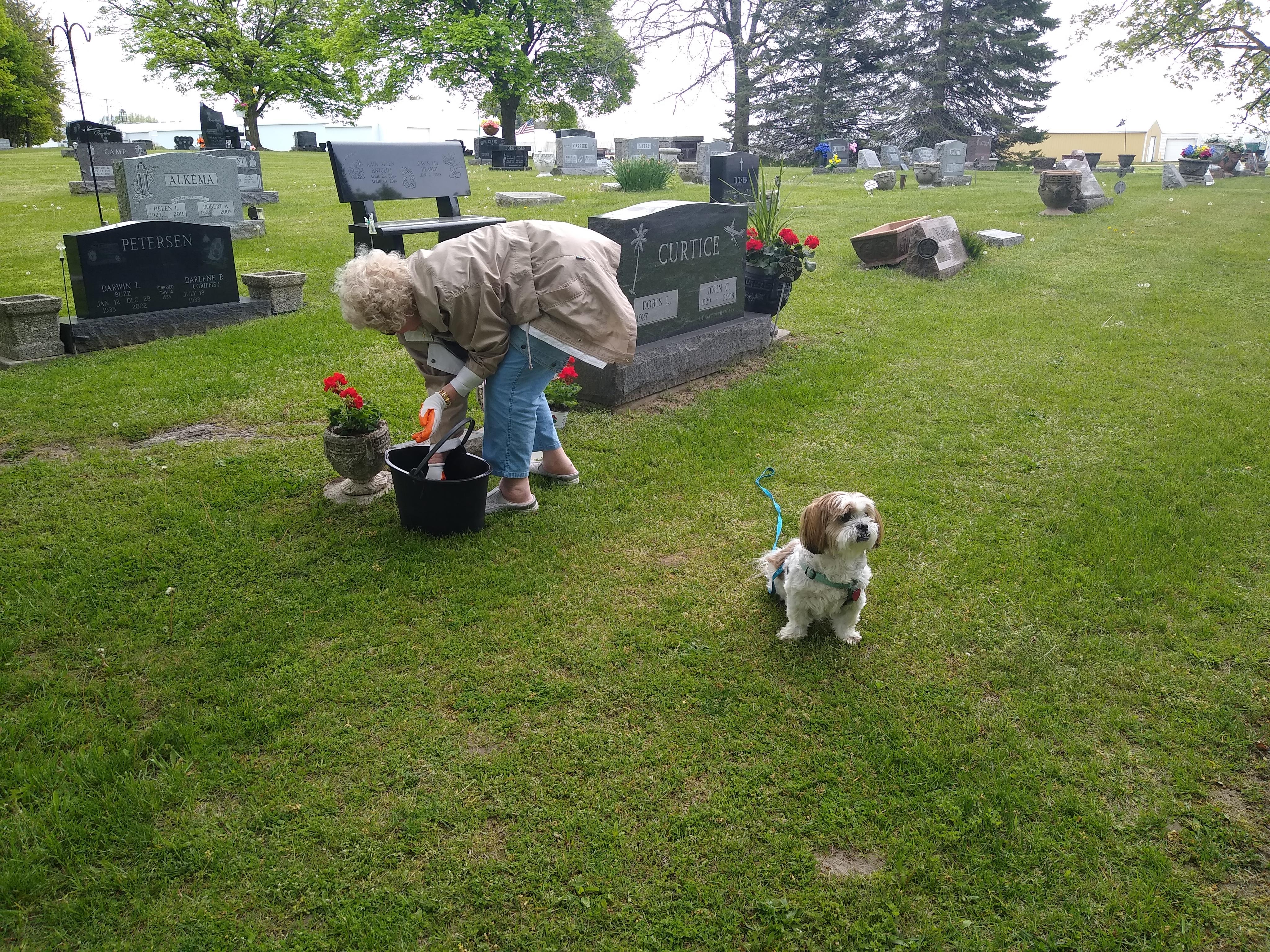 A woman and a dog in a cemetery