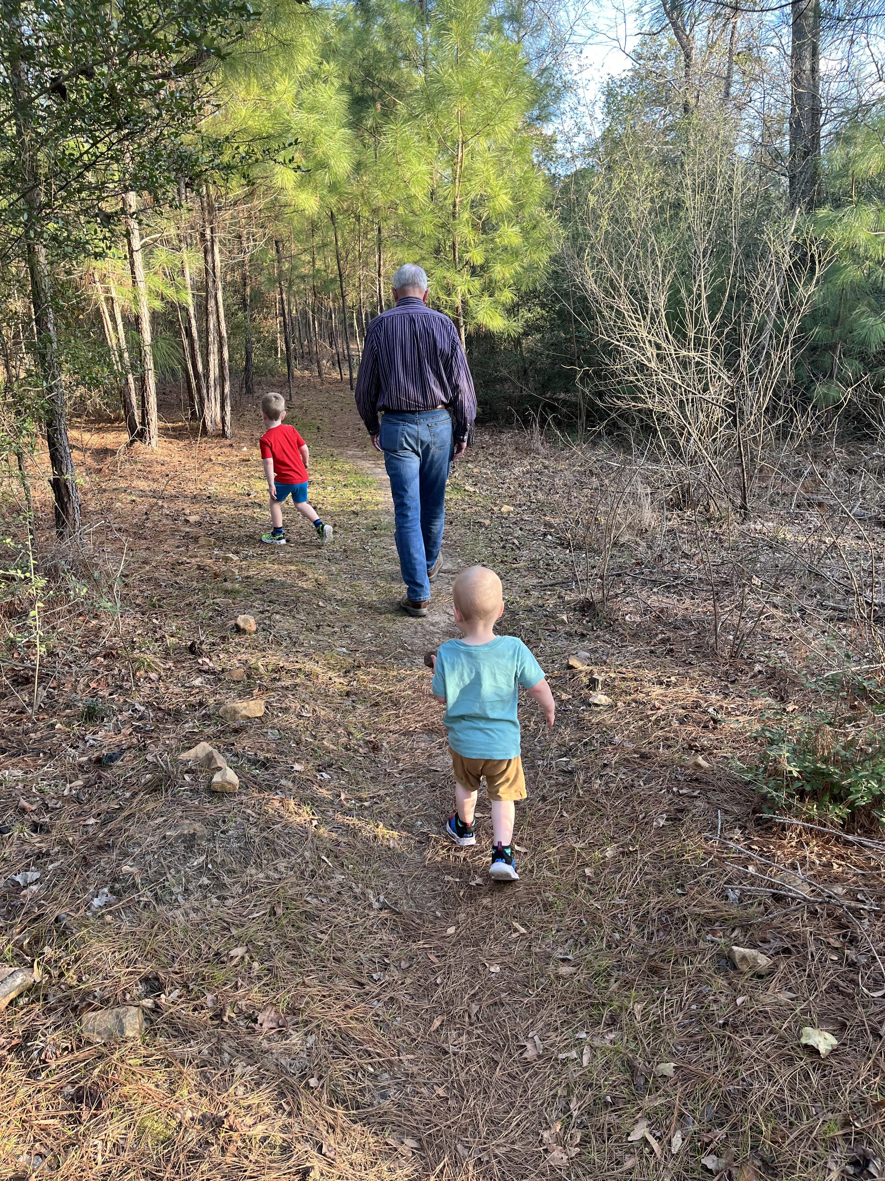 A man and two boys walking on a trail in the woods