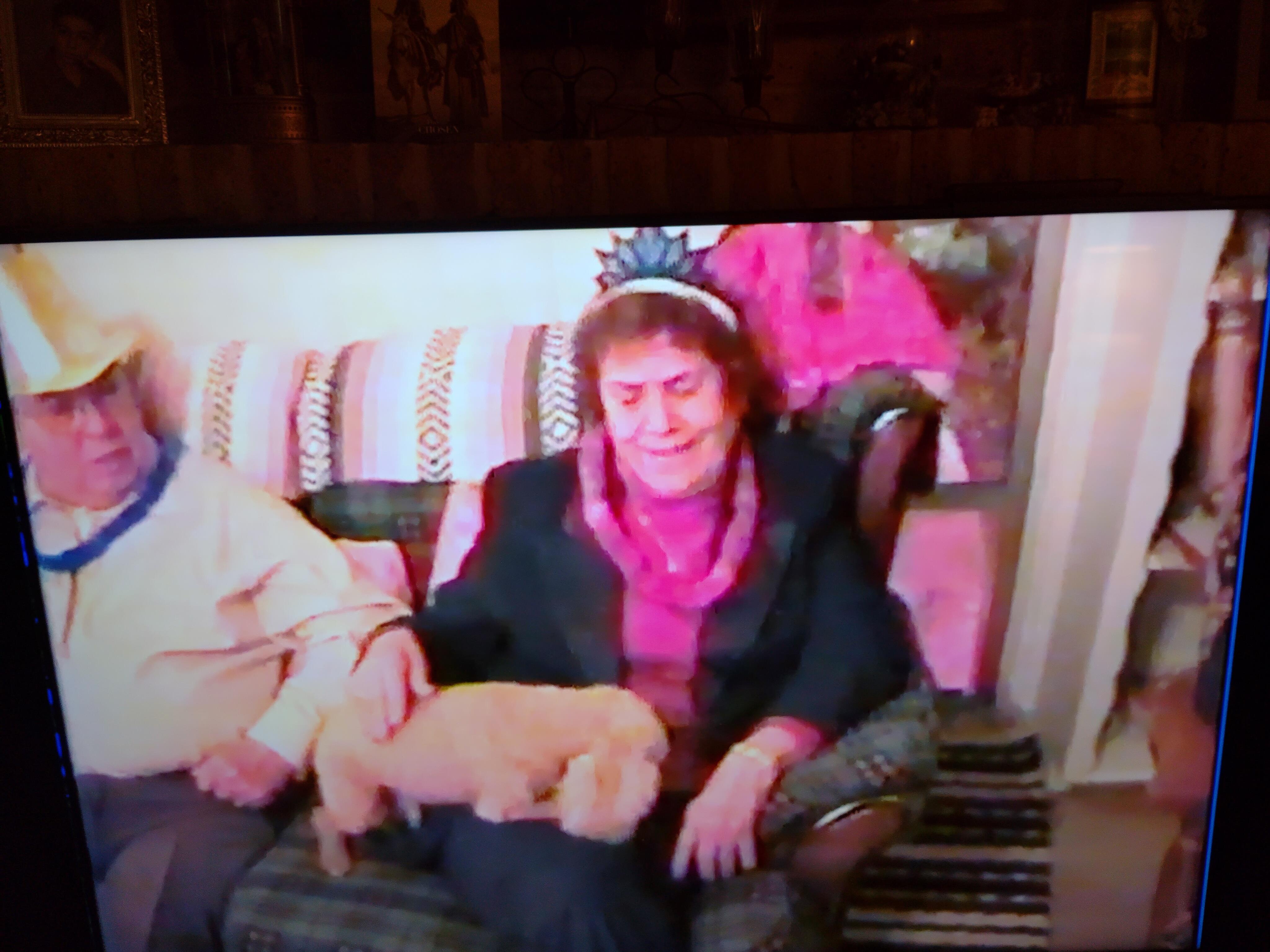 A woman sitting on a couch with a dog