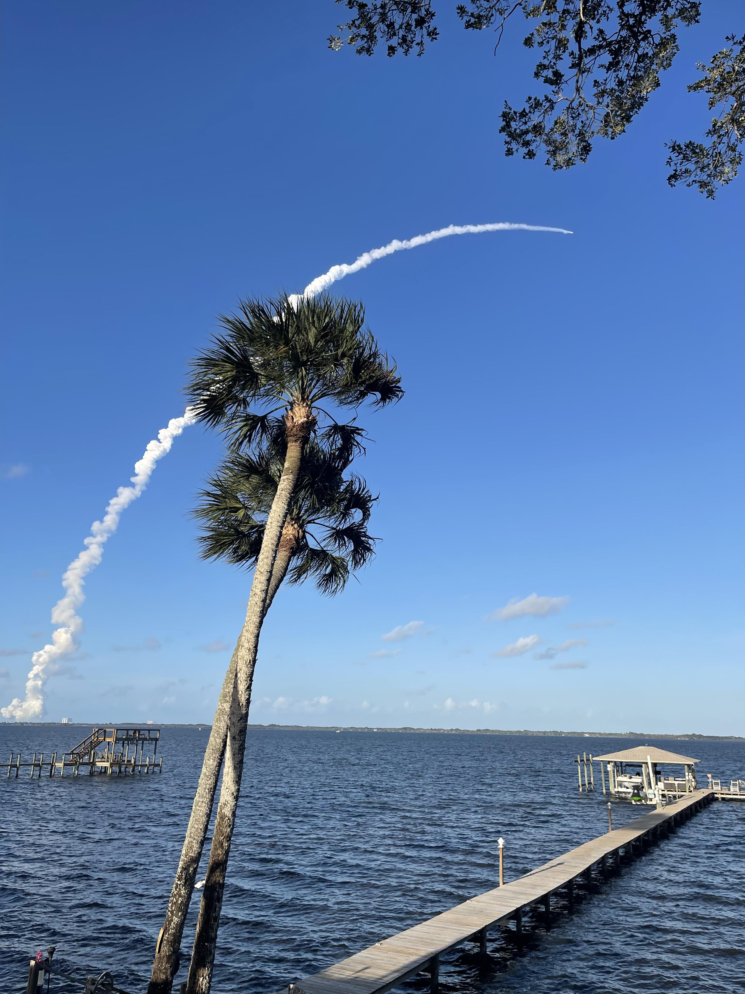A palm tree with a trail of smoke in the sky