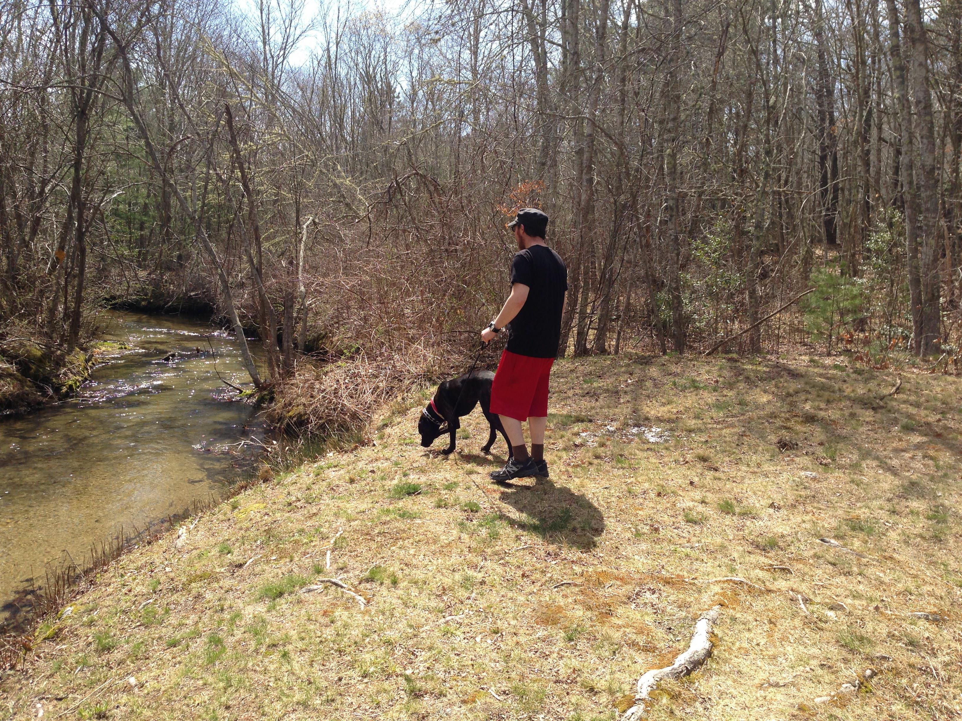 A man and dog on a hill near a stream
