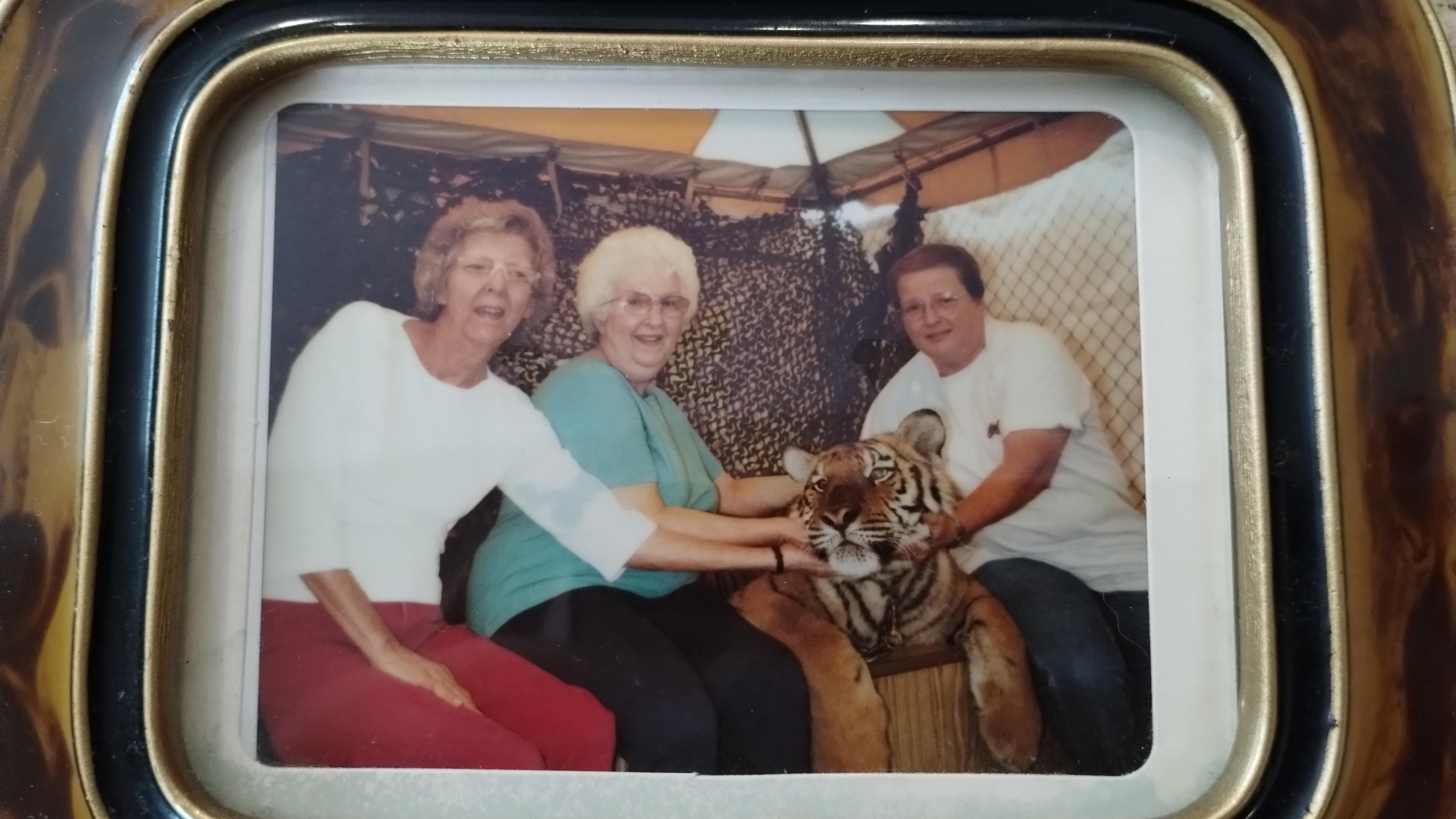 A group of people sitting on a chair with a tiger