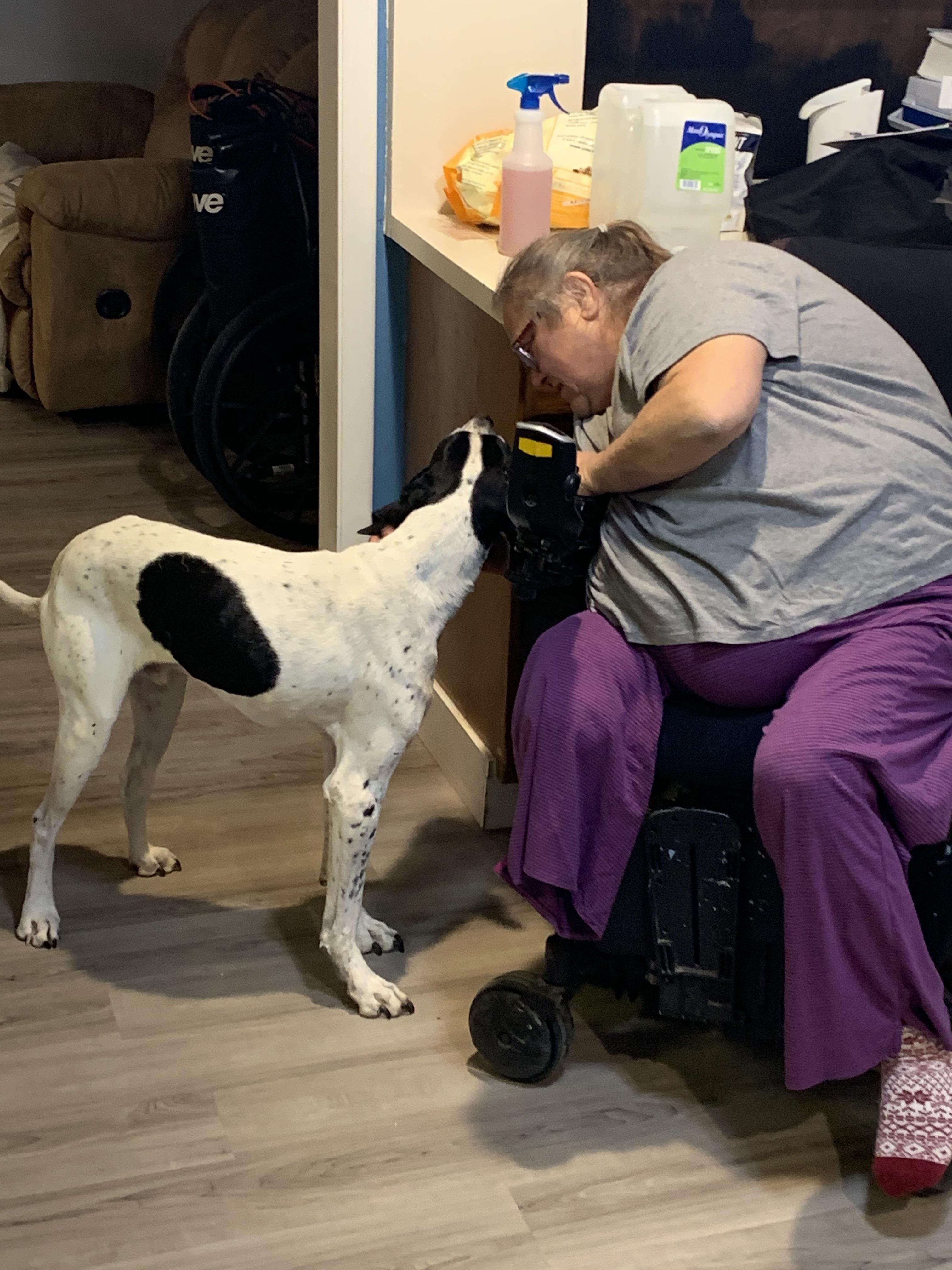 A woman and dog looking at each other