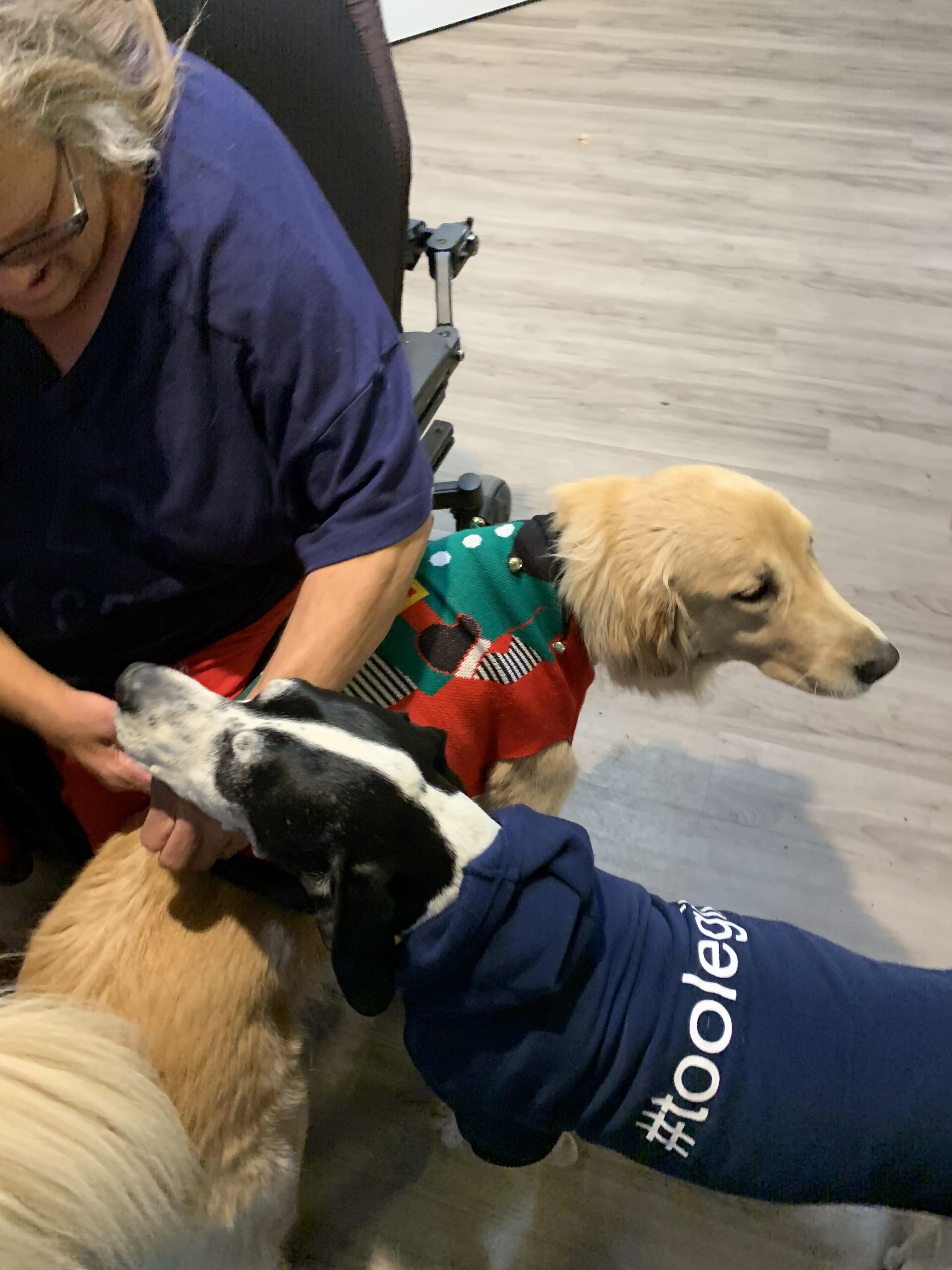 A woman petting a dog