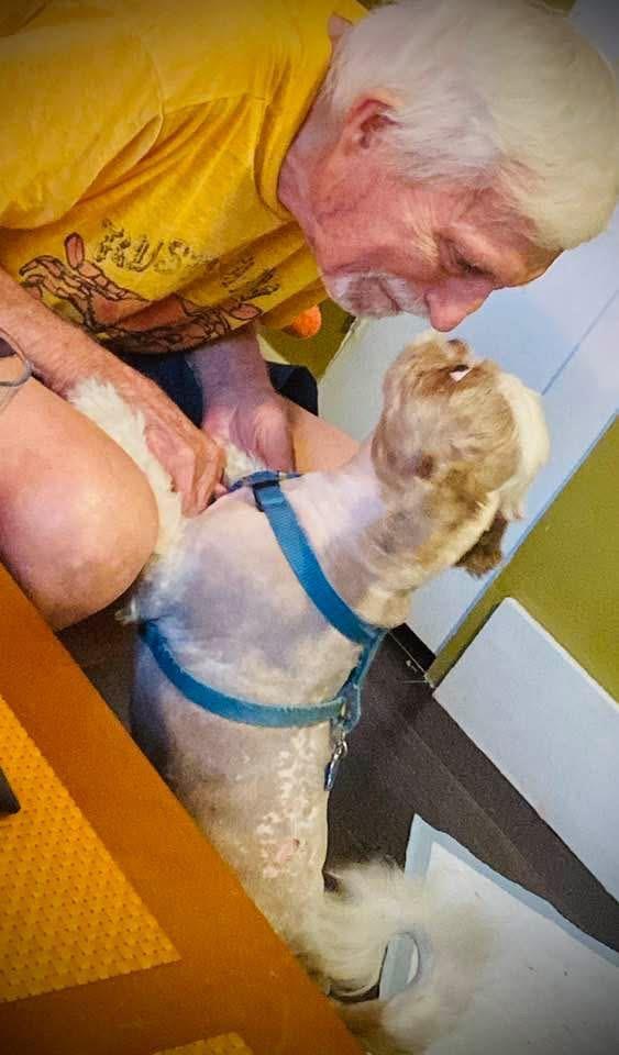 A man touching a dog