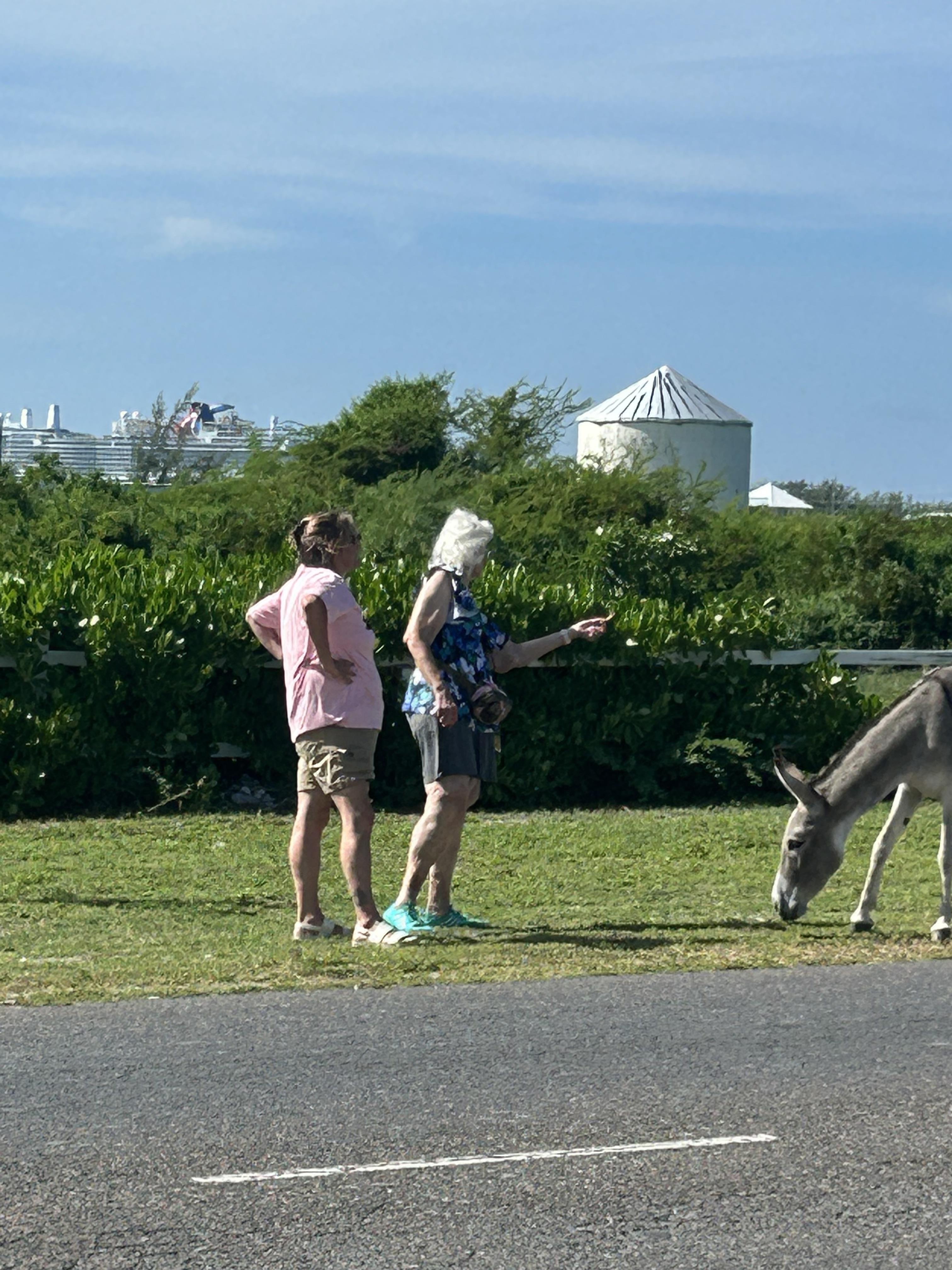 Two women standing next to a donkey