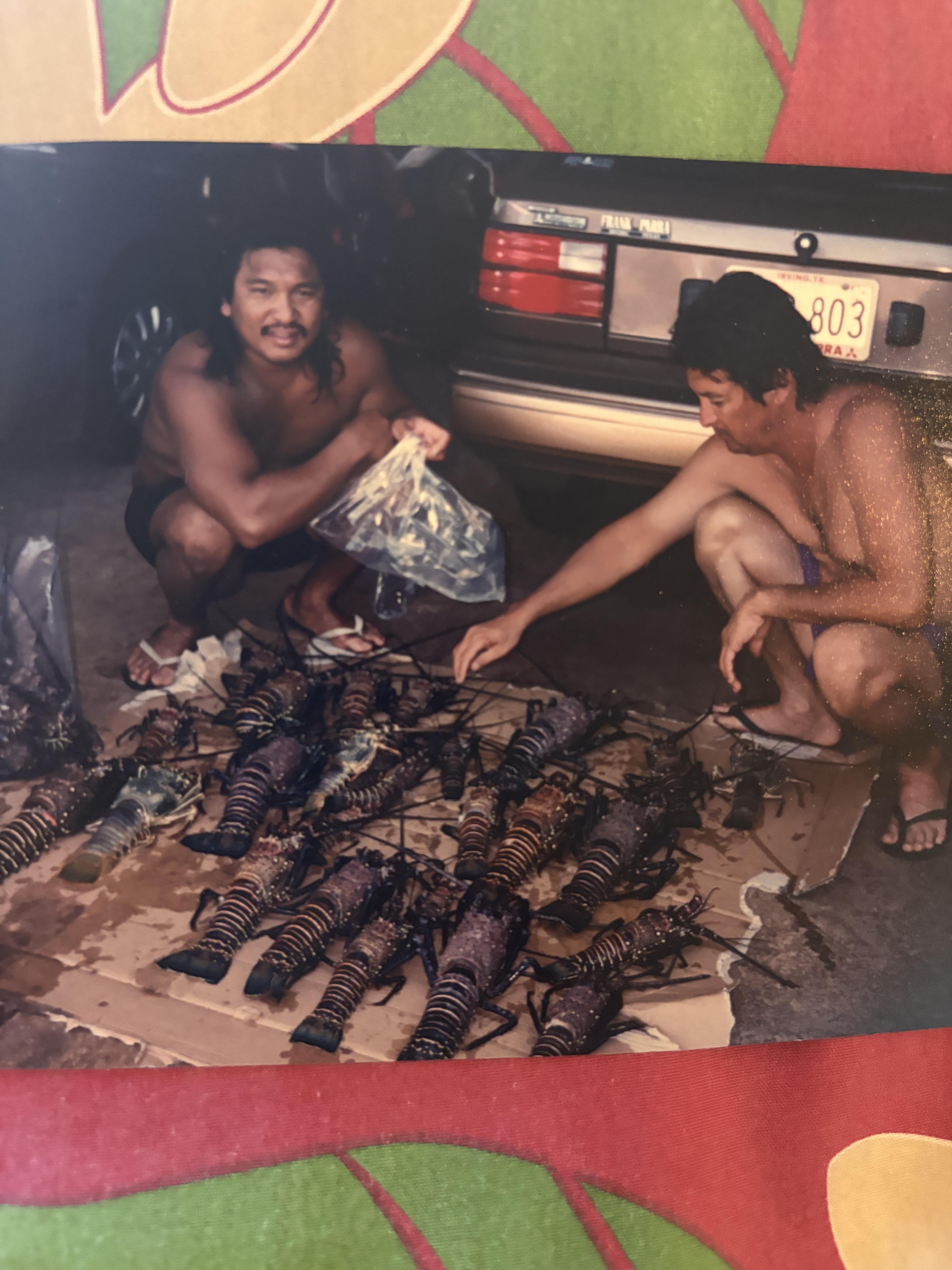 Two men looking at lobsters in the back of a car