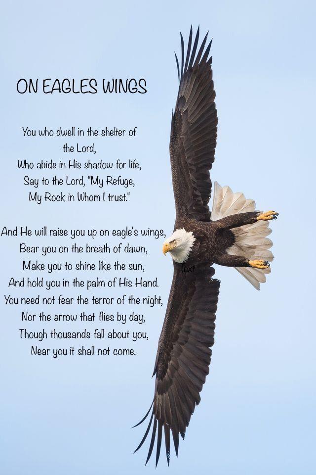A bald eagle flying with text