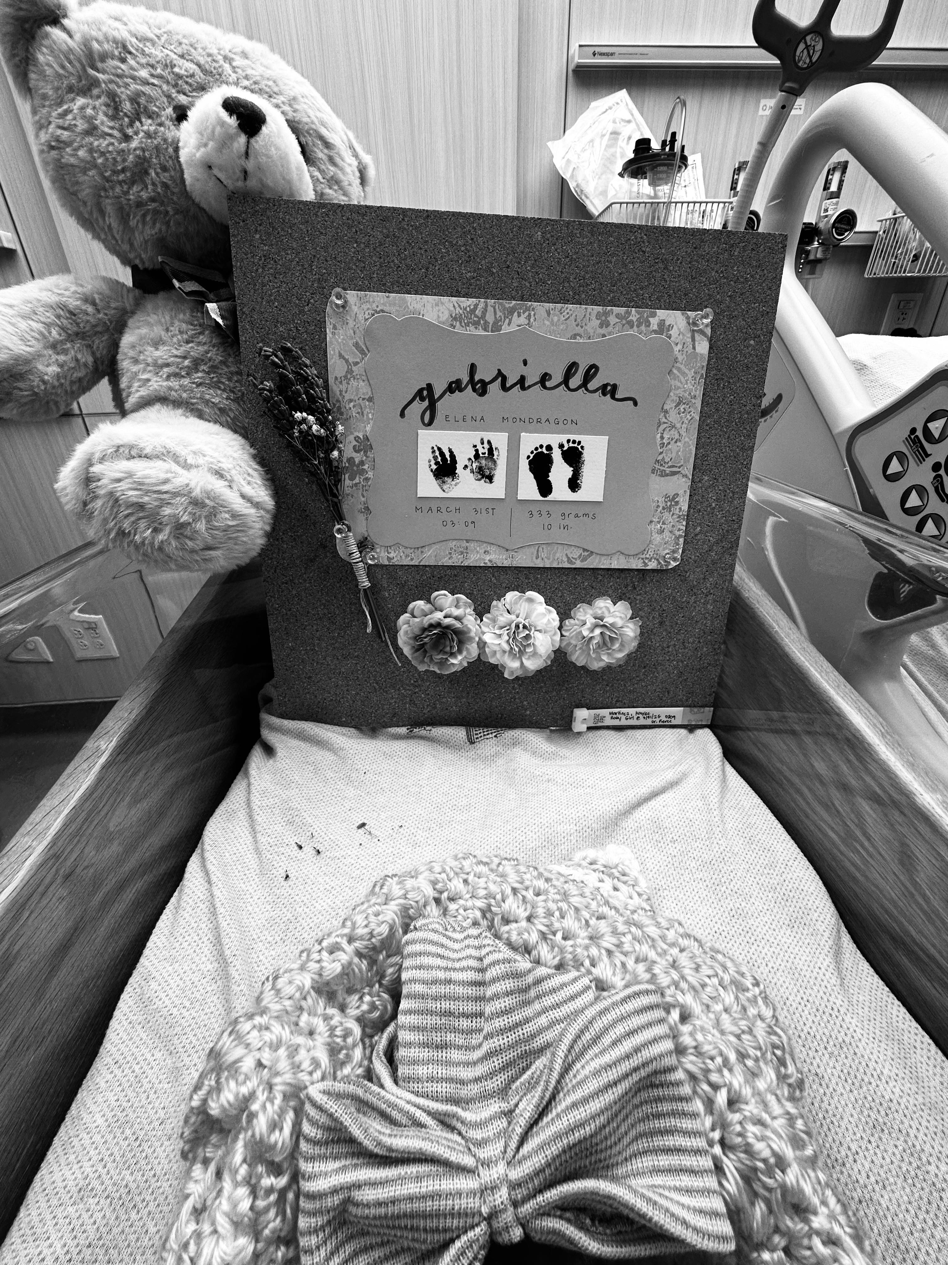 A teddy bear in a coffin