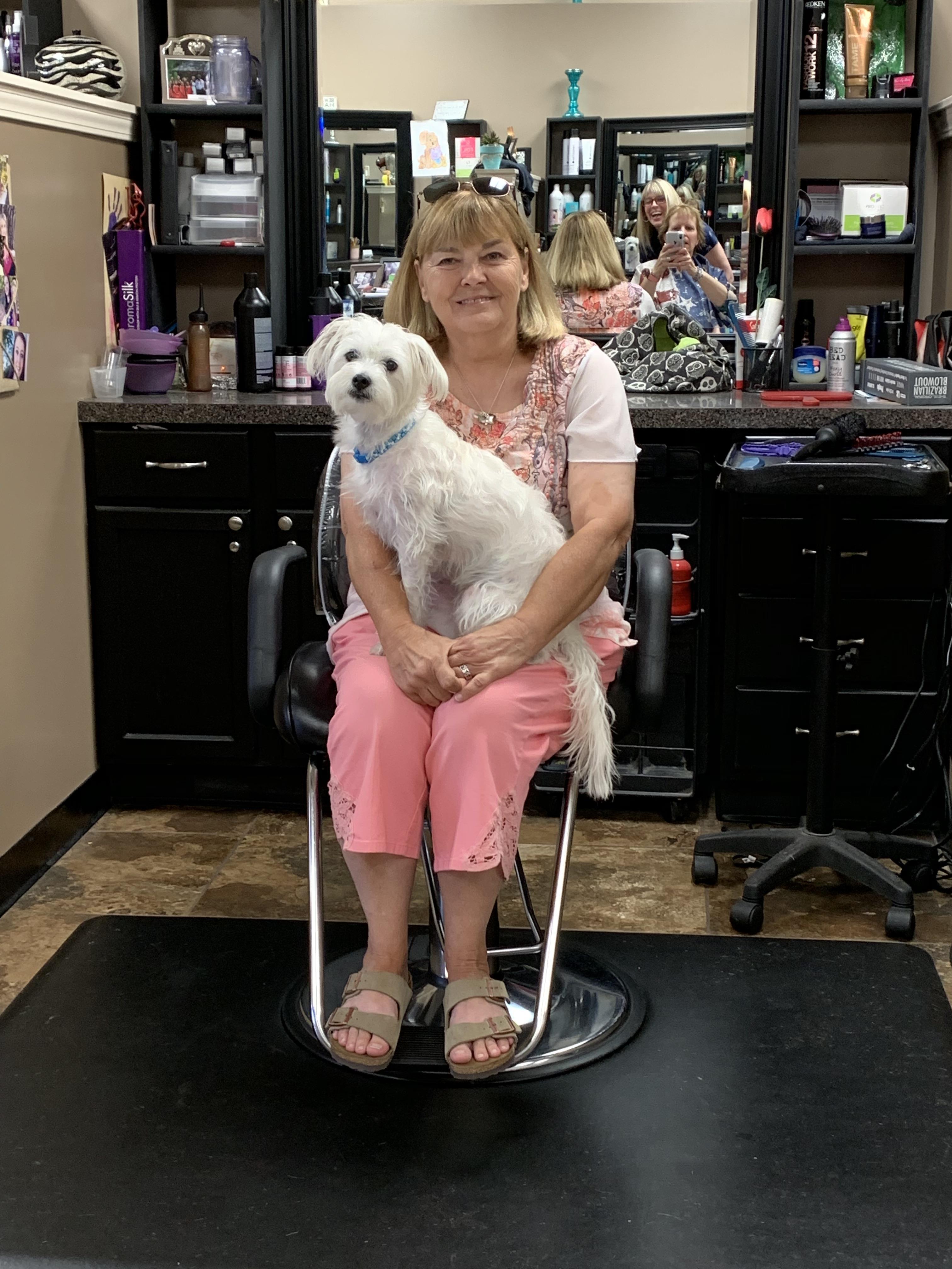A woman sitting in a chair with a dog