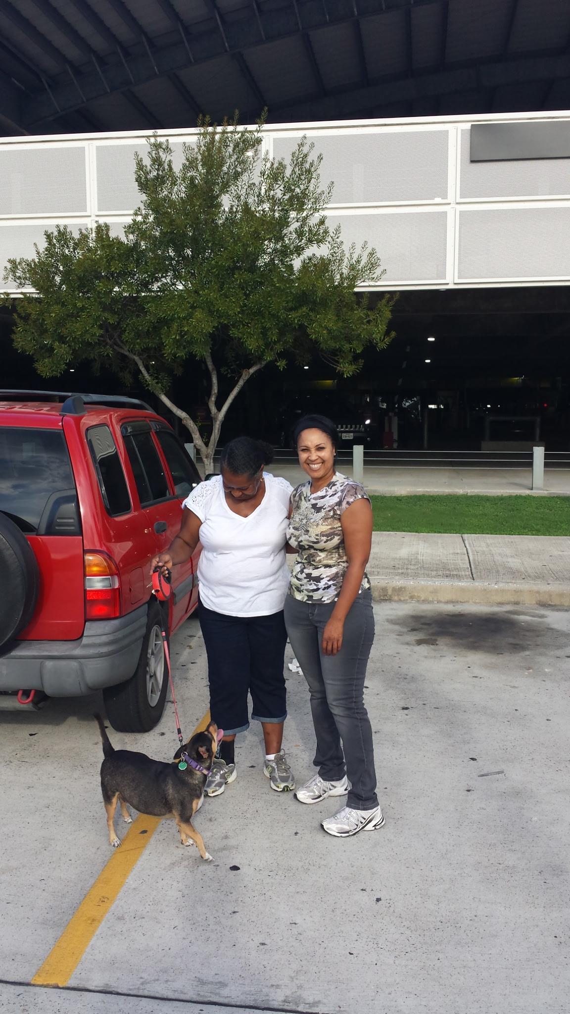 A woman and a dog standing next to a red van