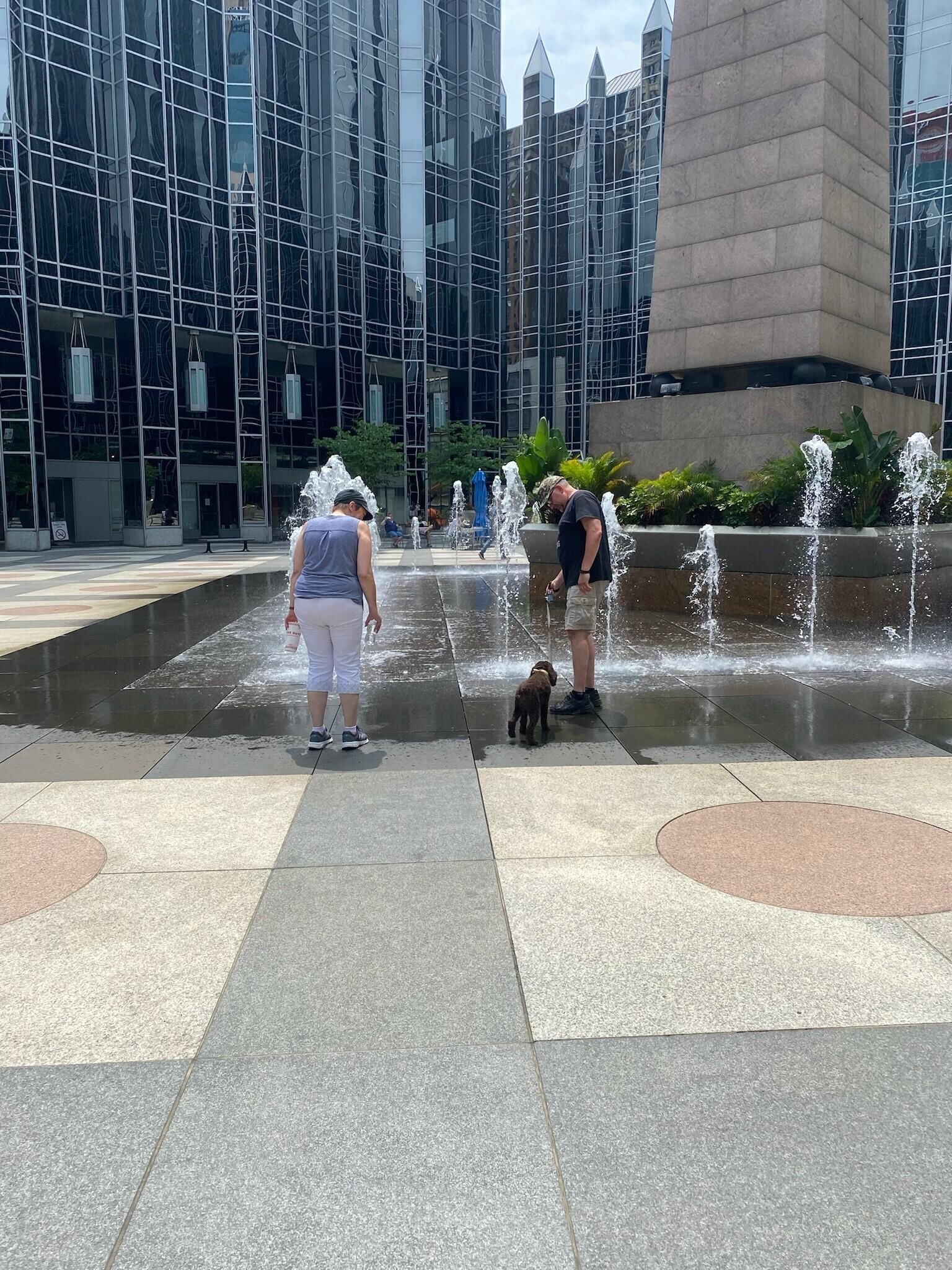 A man and woman with a dog in a fountain