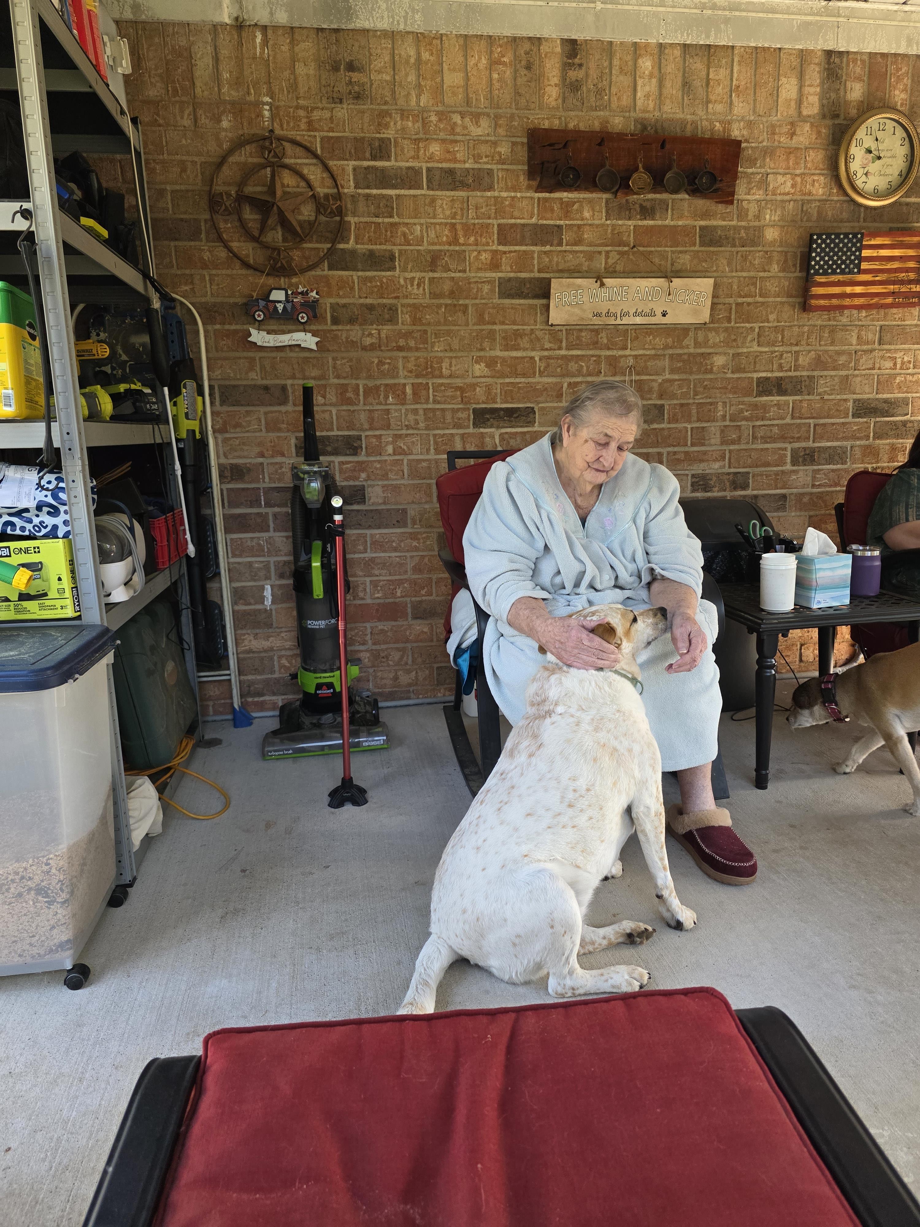 A woman sitting on a chair with a dog