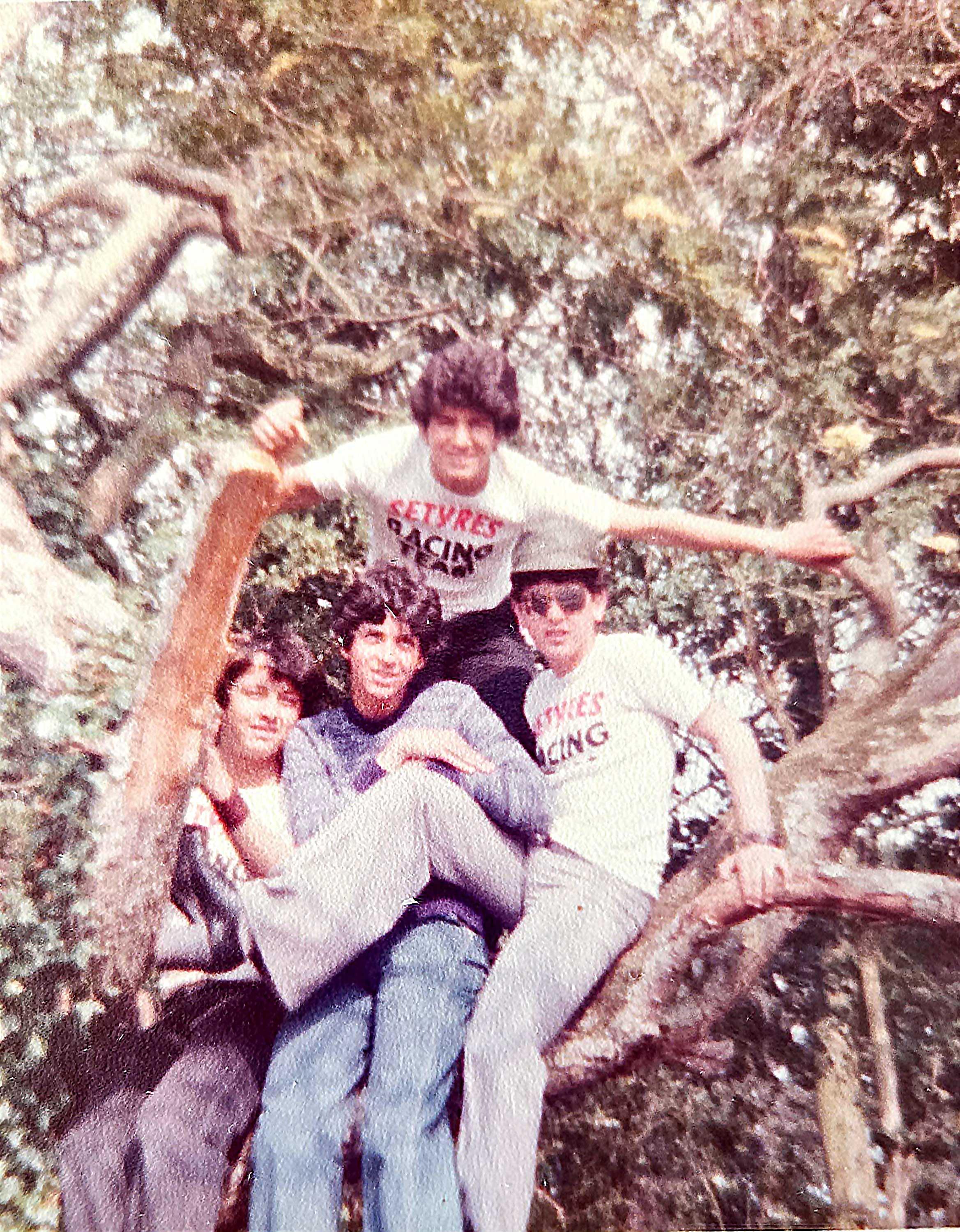 A group of people in a tree