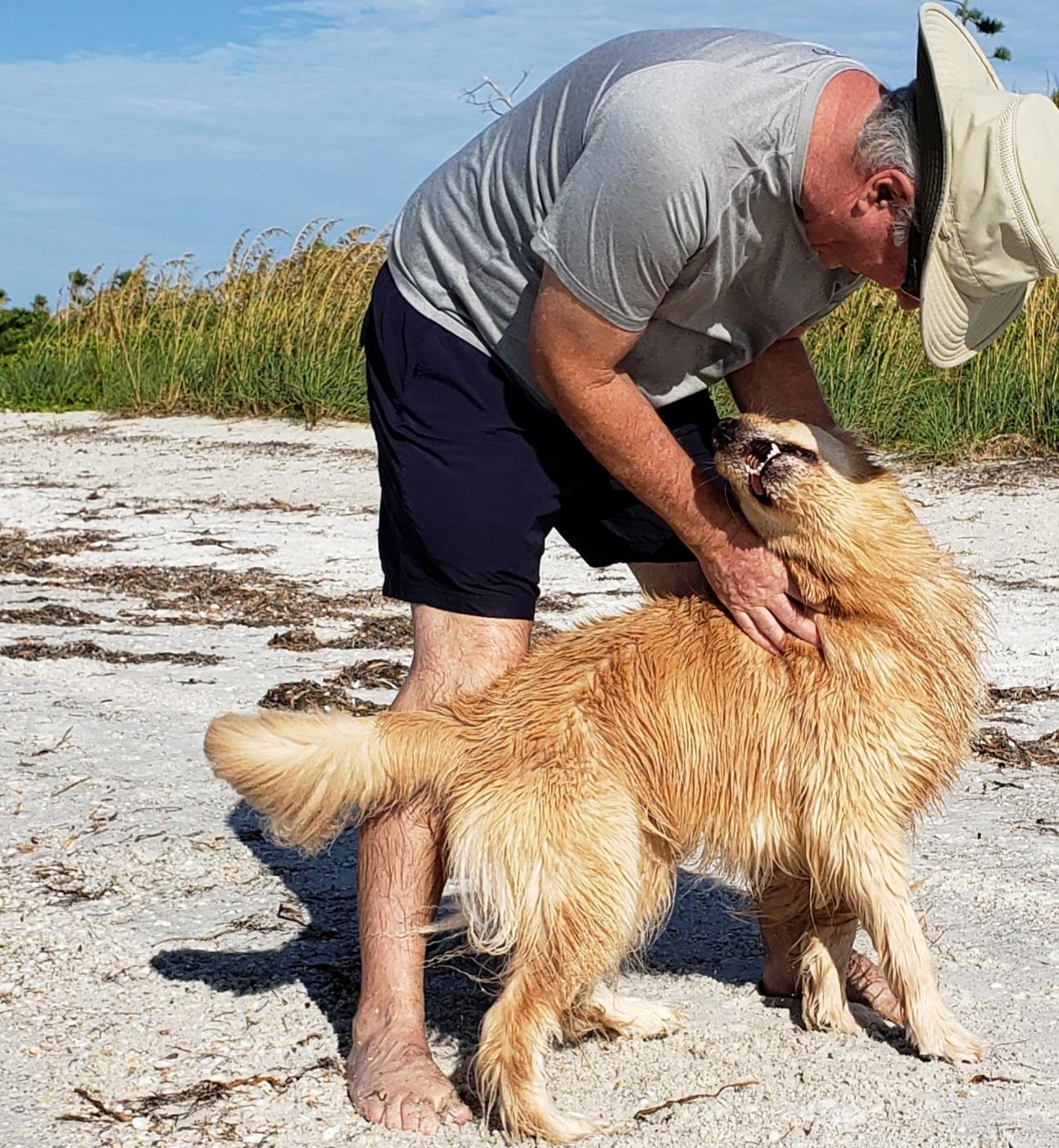 A man petting a dog on a beach