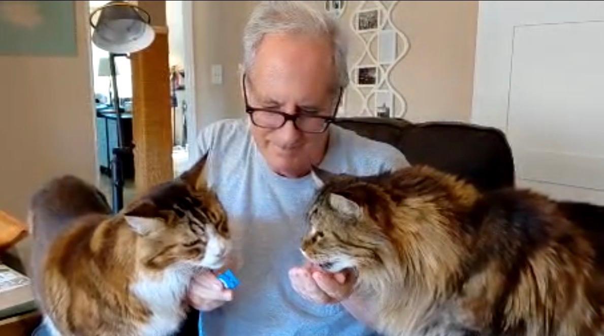 A man holding two cats