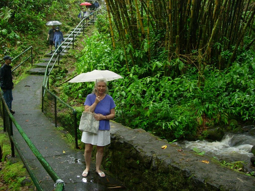A woman standing on a path with an umbrella