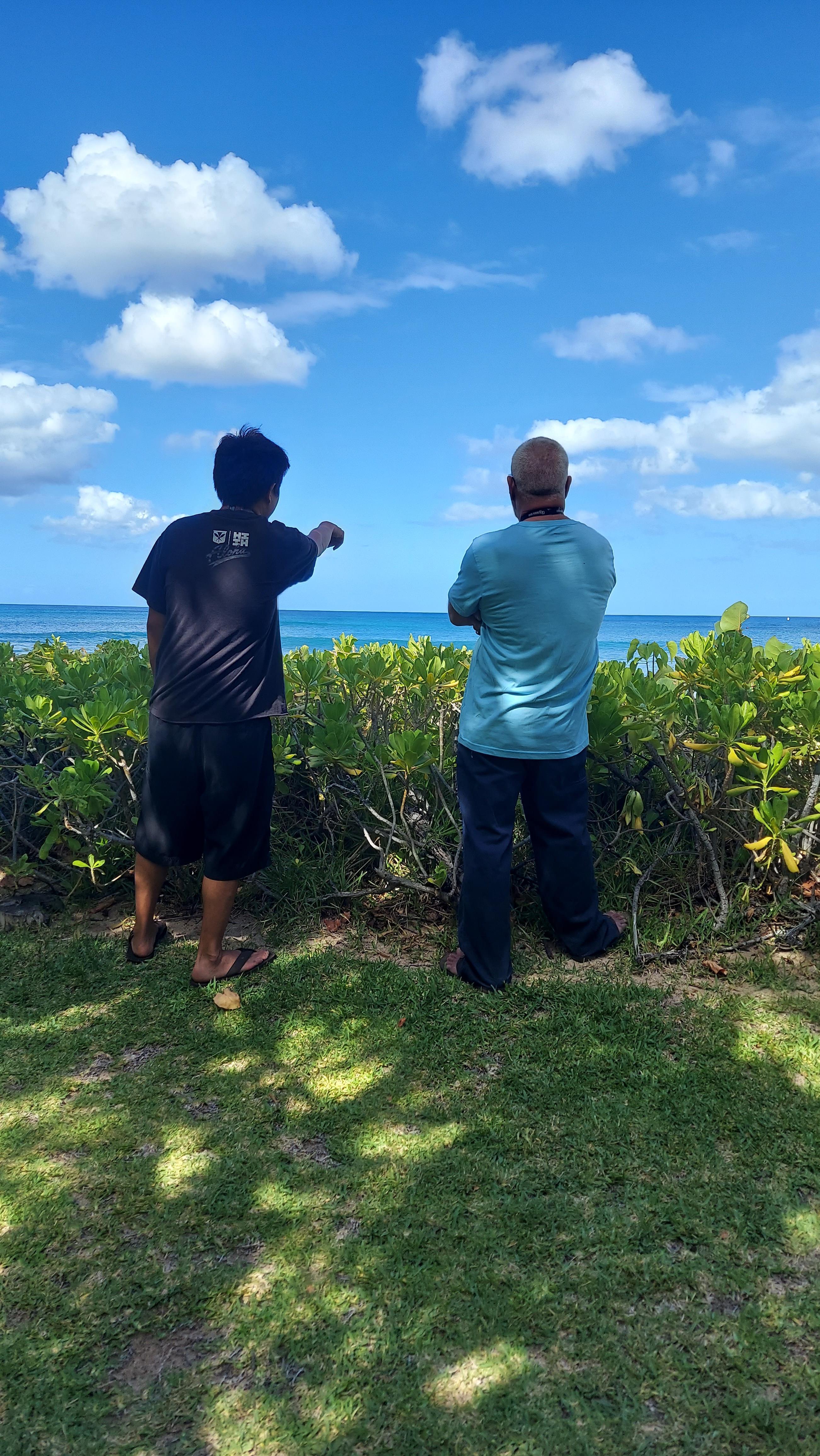 Two men standing next to a hedge by the ocean