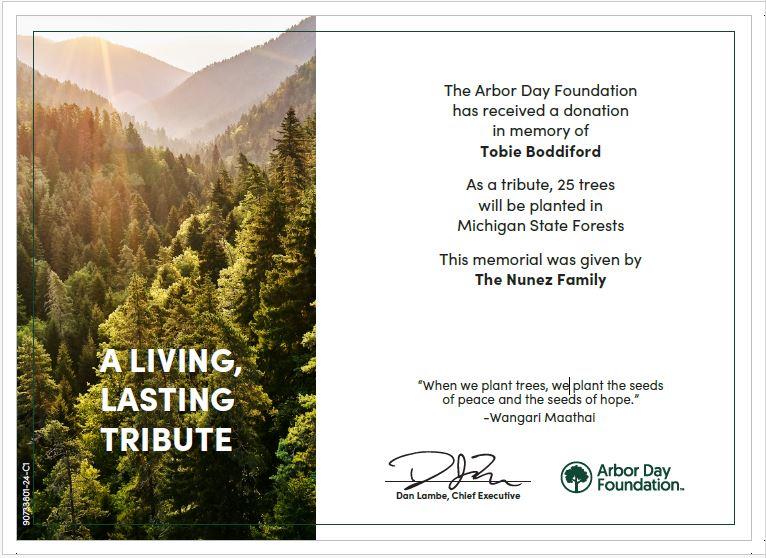 A card with a forest and a picture of trees