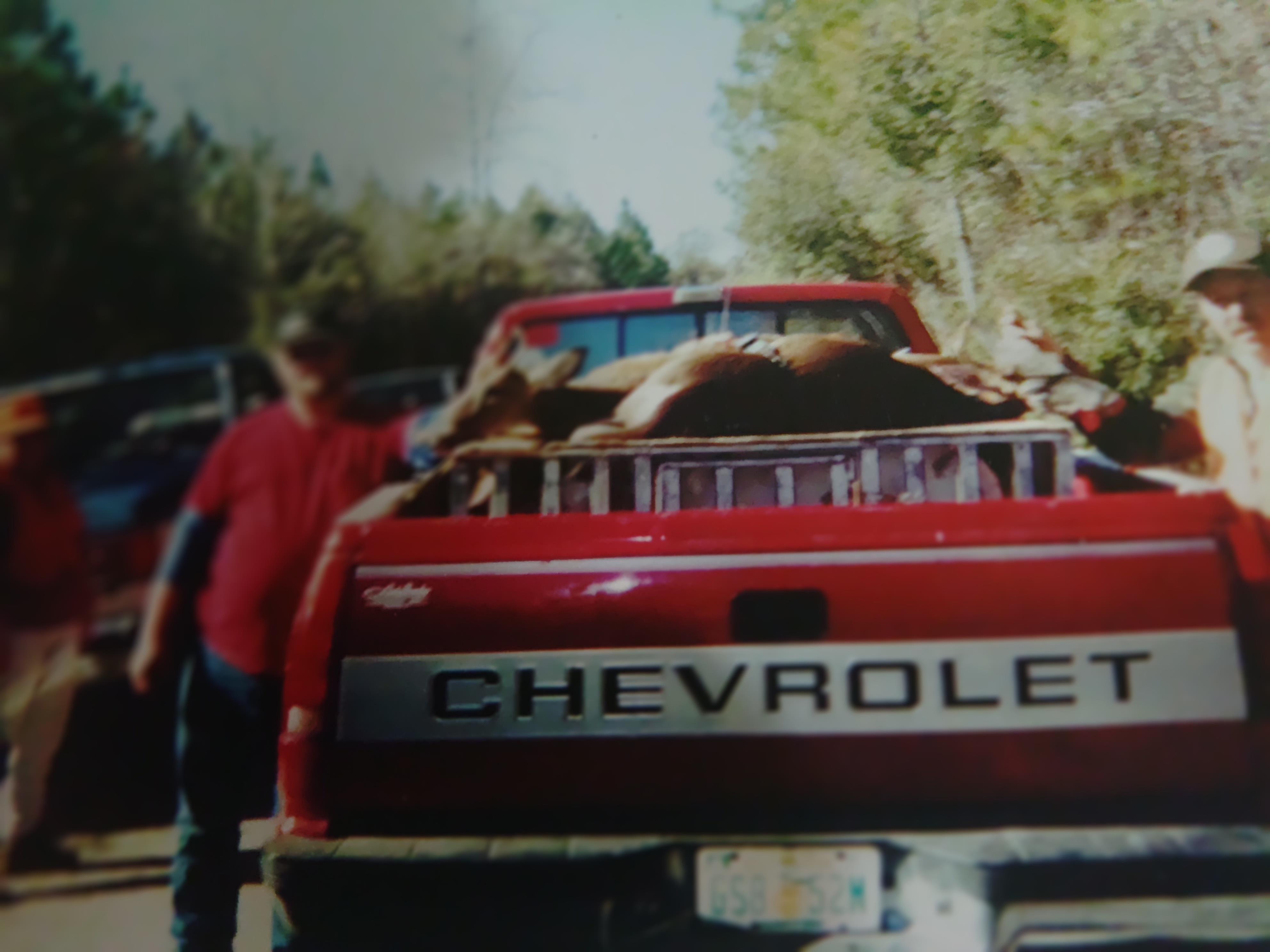 A man standing next to a truck with animals in the back