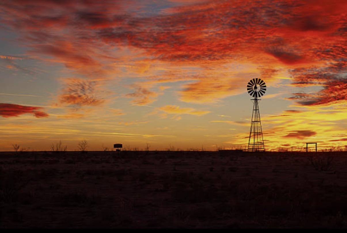 A windmill in the middle of a field