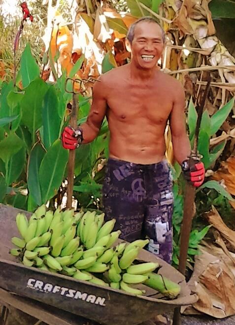 A man holding a bunch of bananas