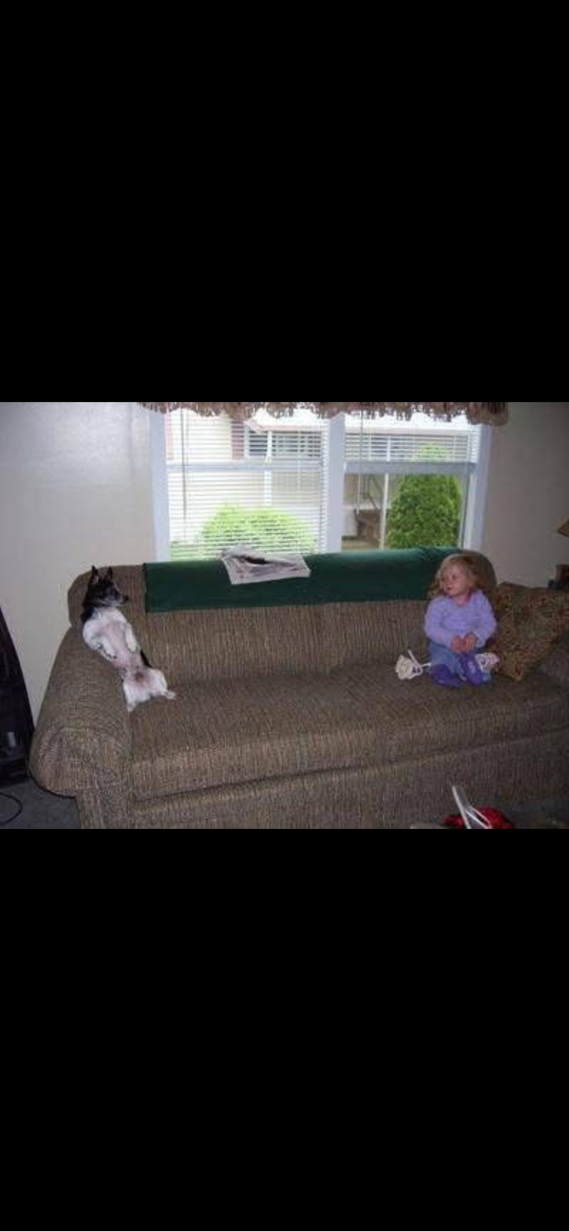 A child and dog sitting on a couch