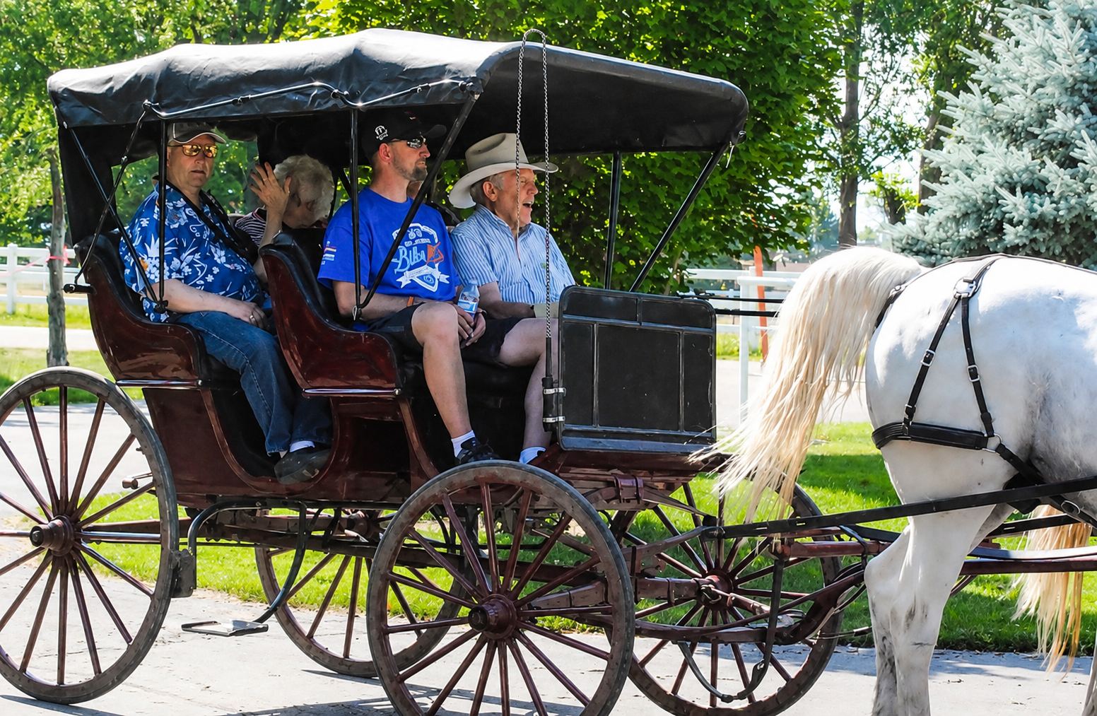 A group of people in a carriage