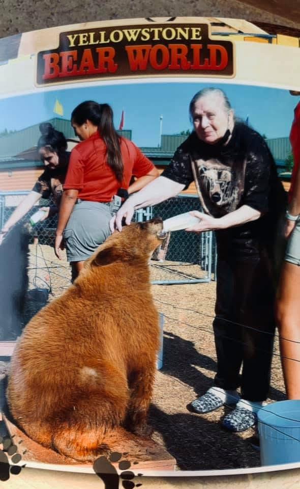 A woman feeding a bear