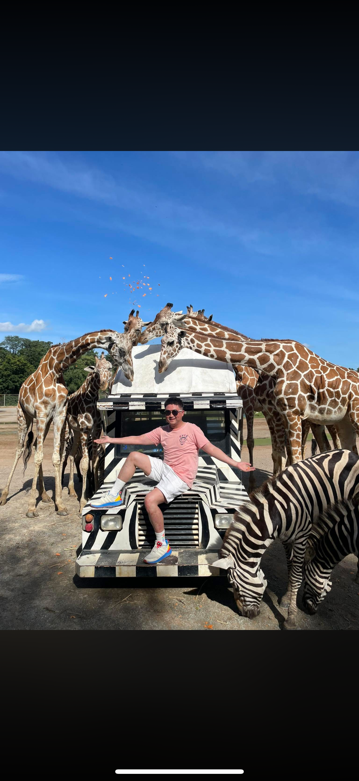 A man sitting on a car with zebras and giraffes