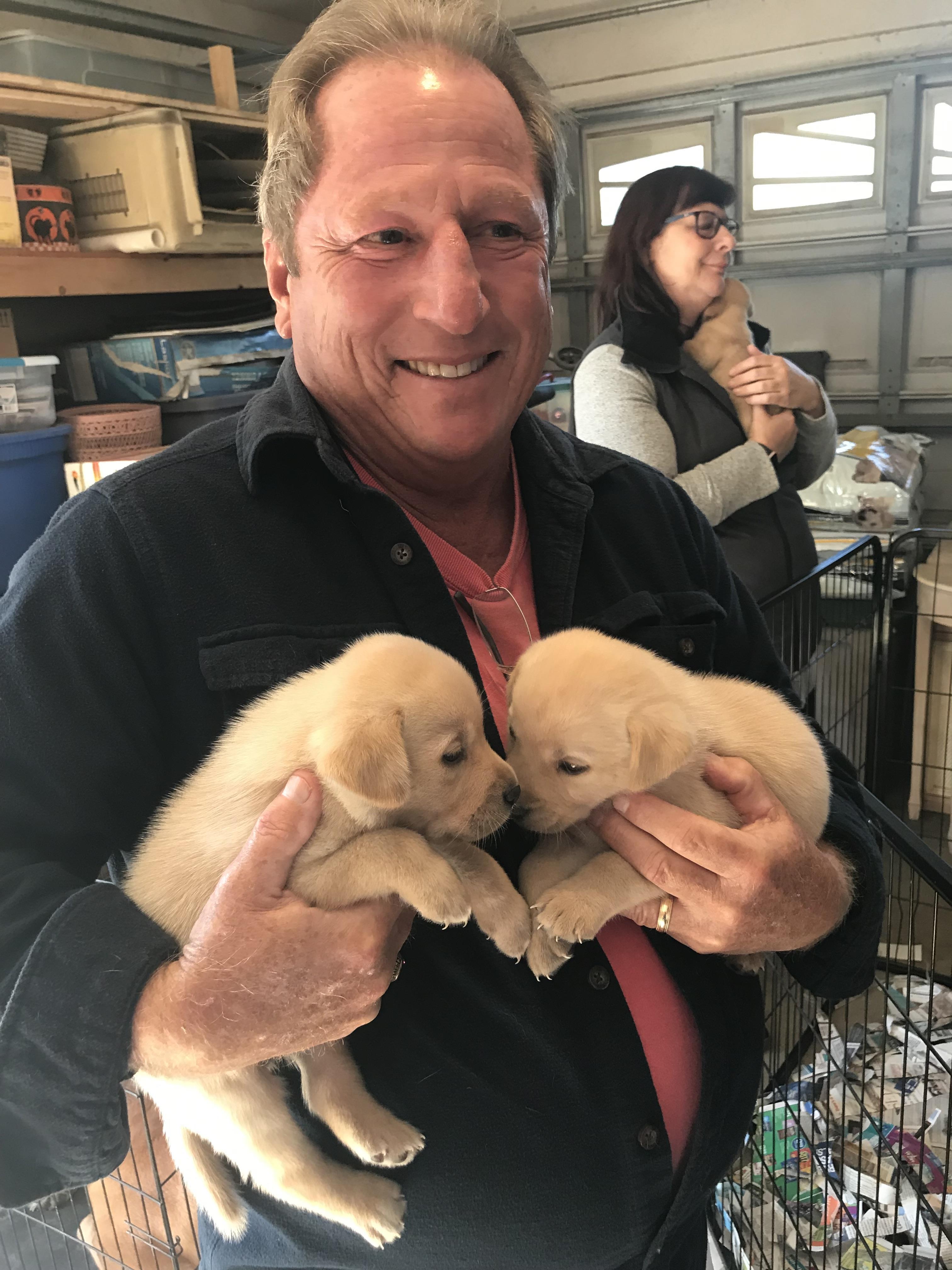 A man holding two puppies