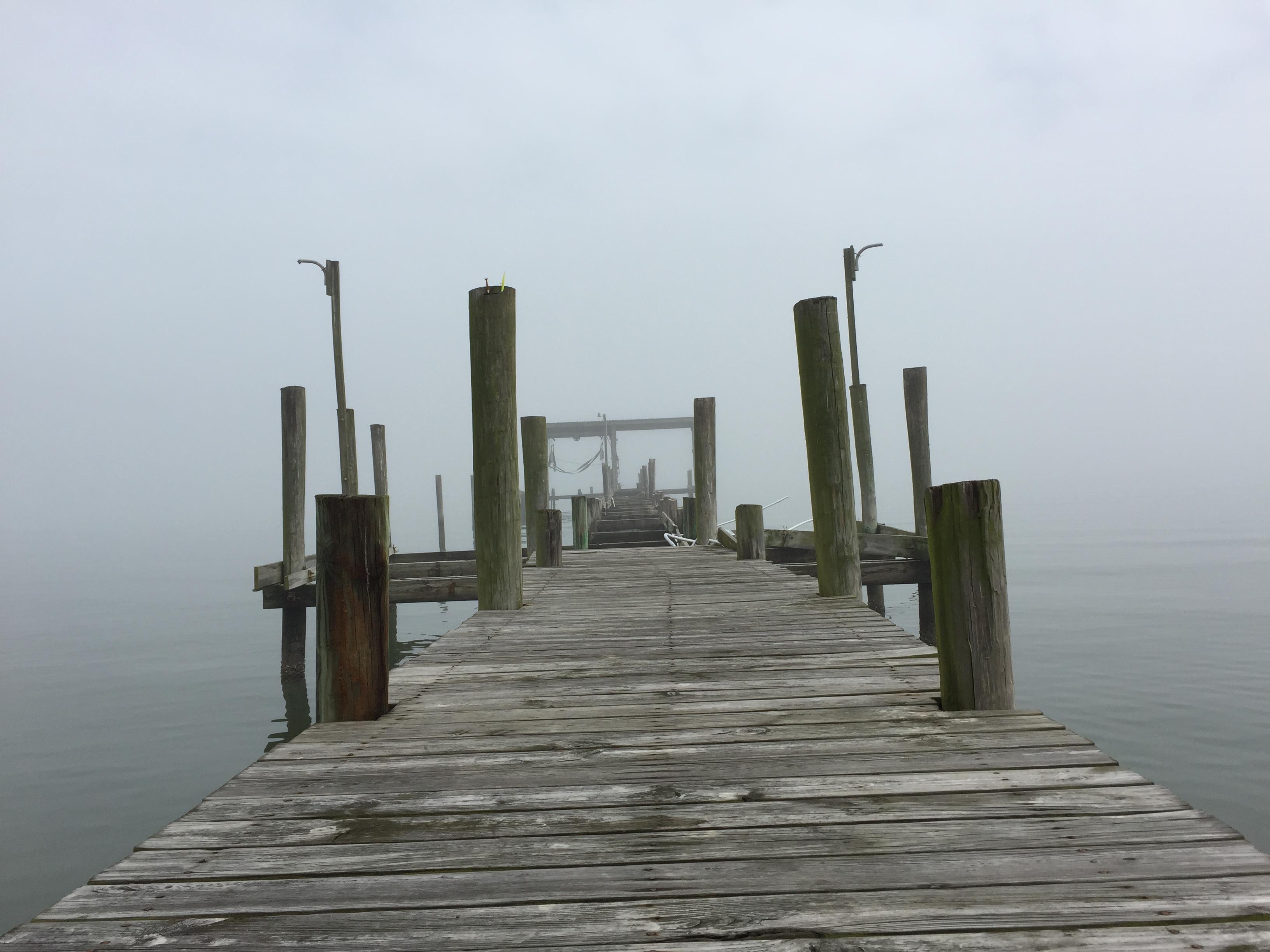 A wooden dock with poles on the water