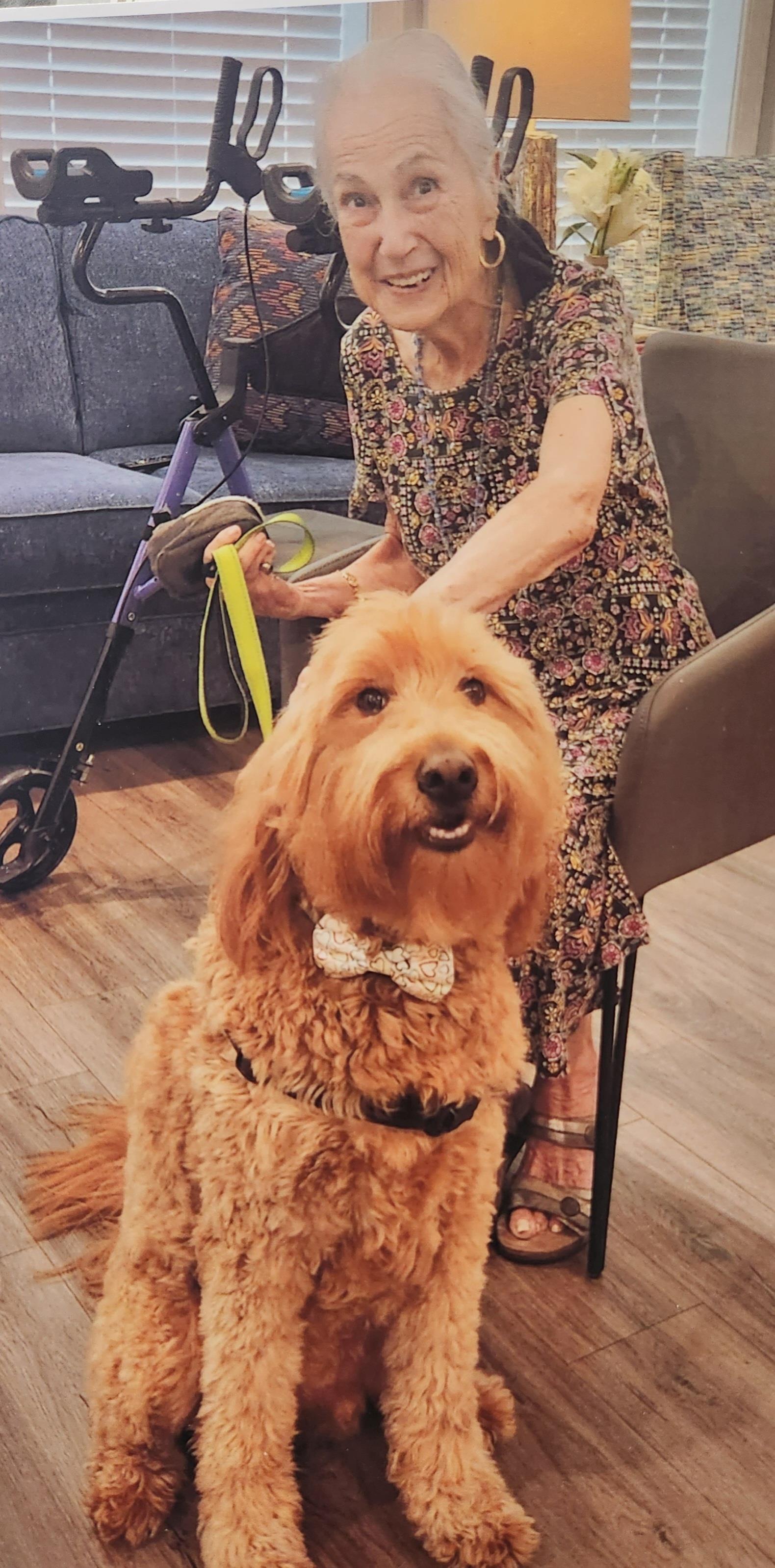 A woman sitting in a chair with a dog