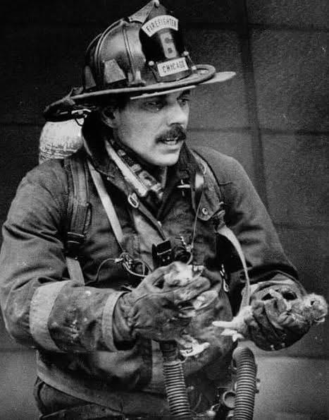 A firefighter holding a small animal