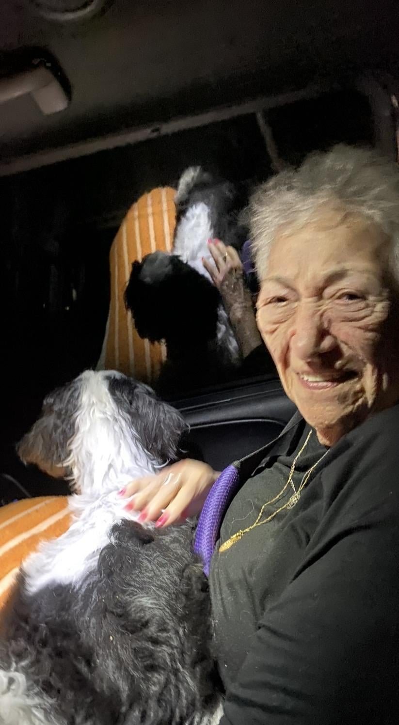A woman sitting in a car with a dog