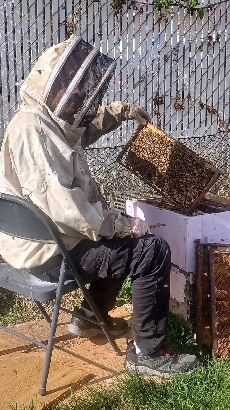 A person in a beehive