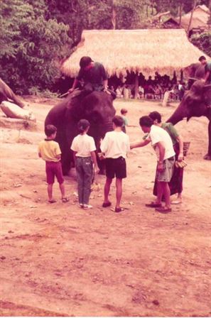 A group of people standing around an elephant