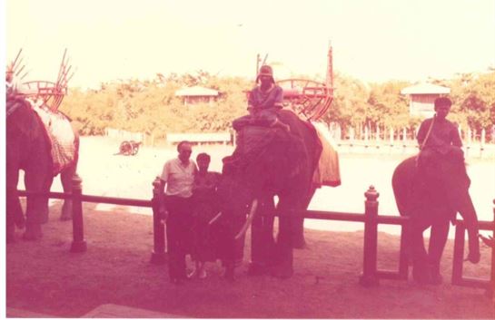 A man riding an elephant