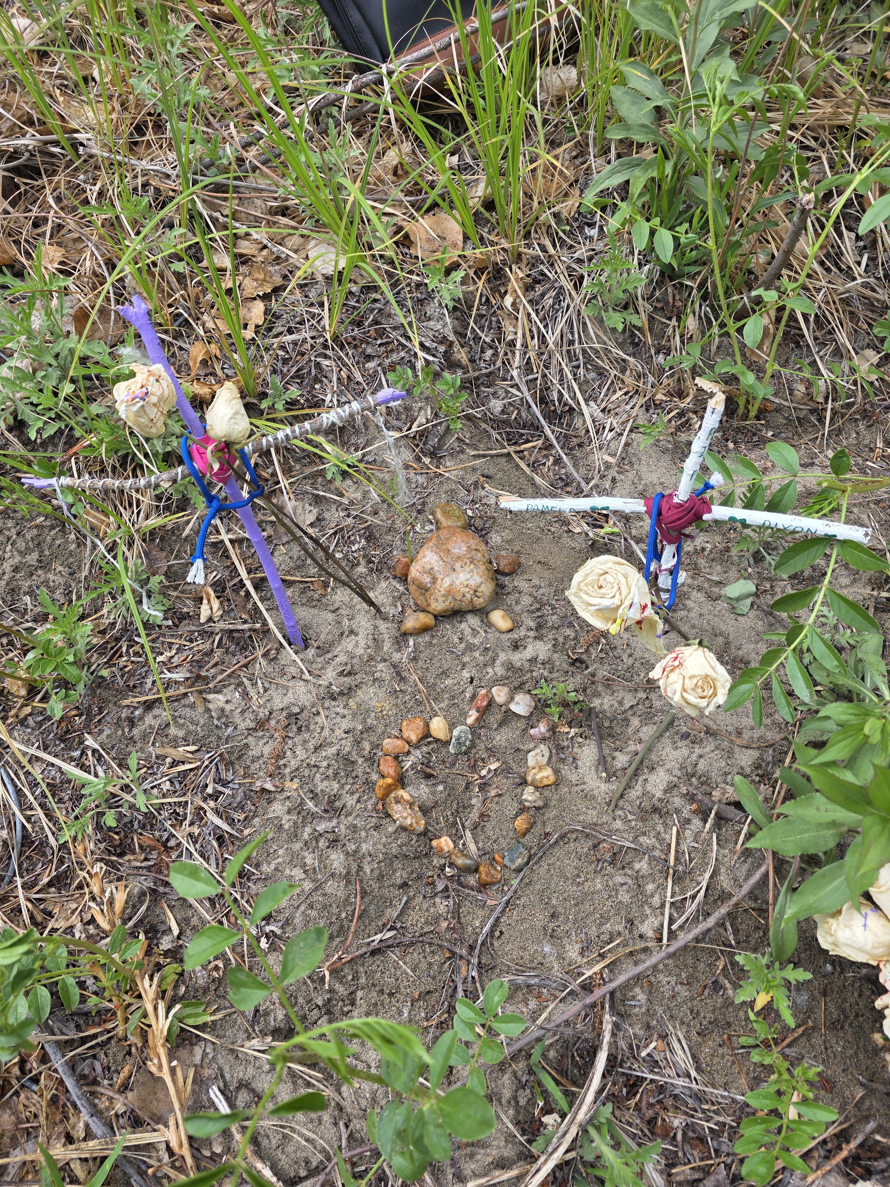 A group of sticks and stones in the dirt