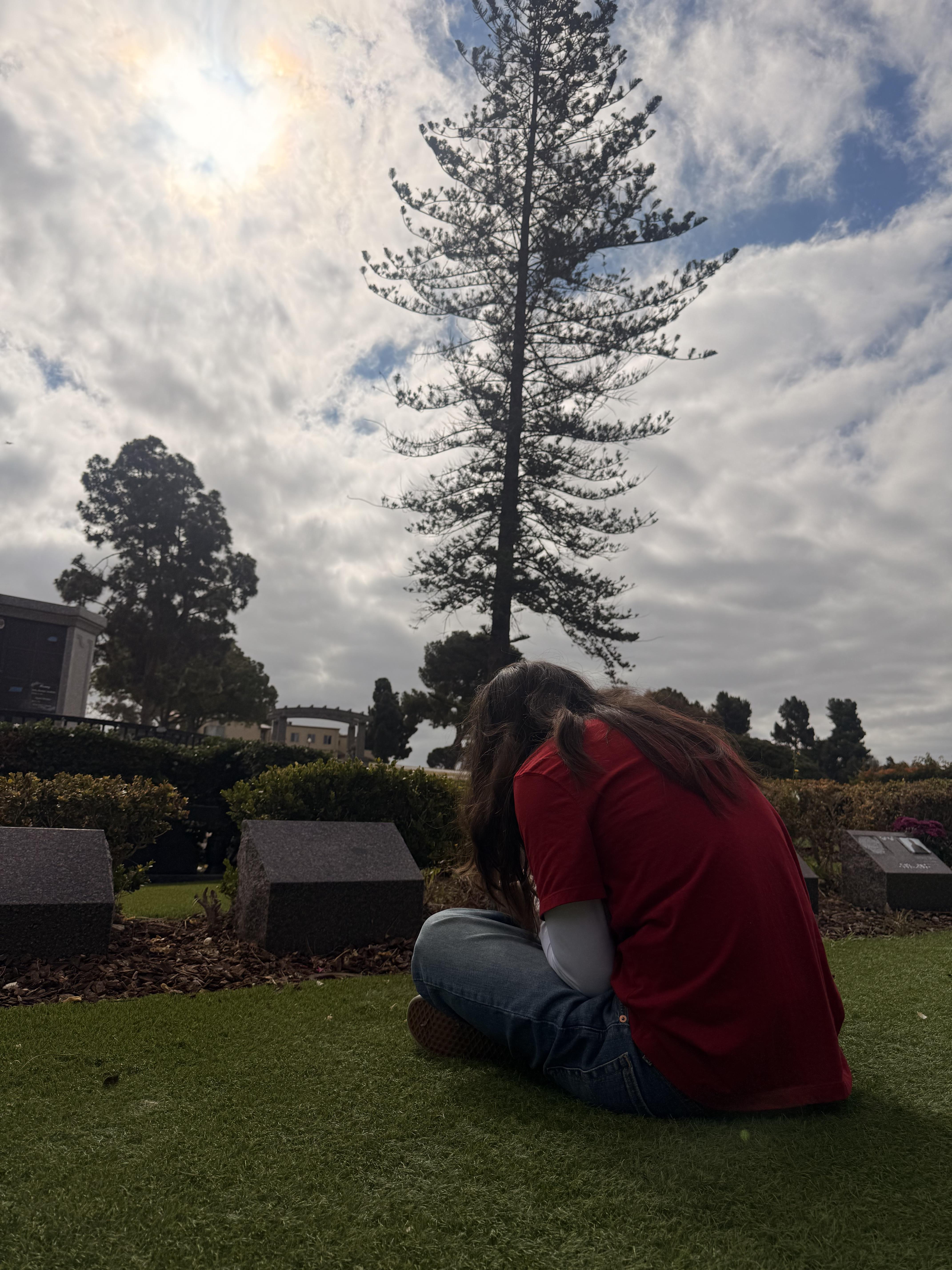 A person sitting on grass looking at a tree
