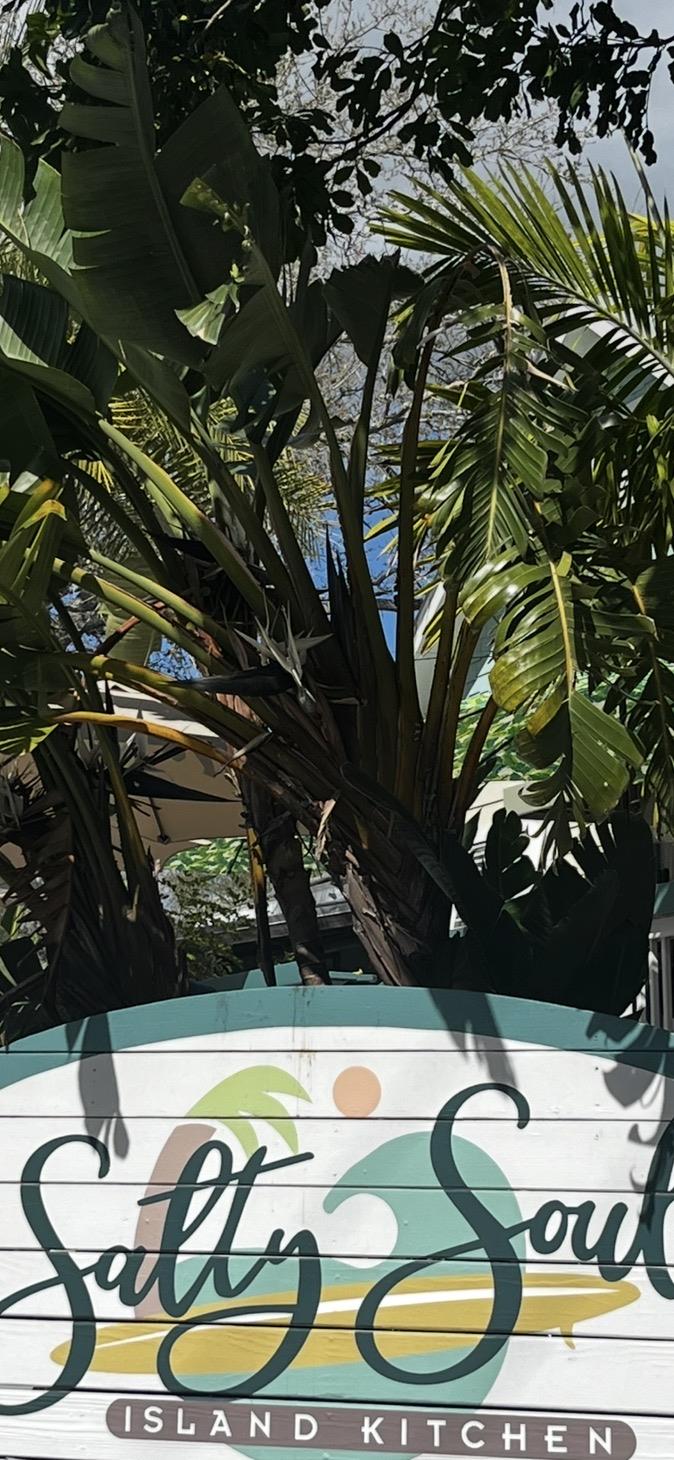 A palm tree with a sign