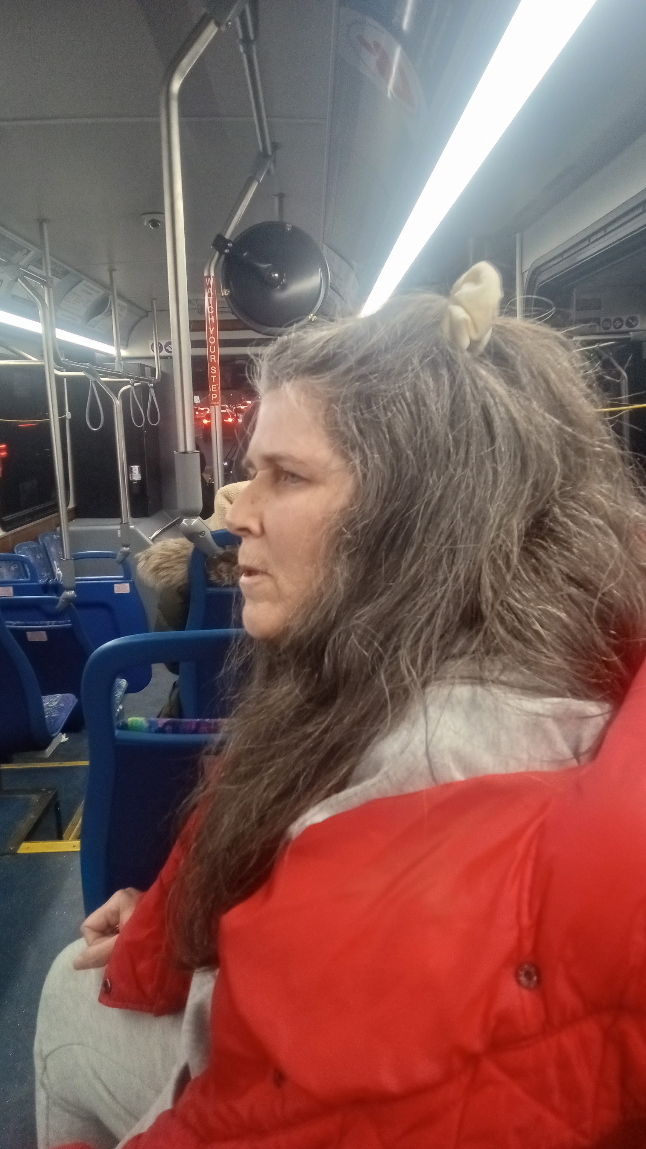 A woman with long hair on a bus
