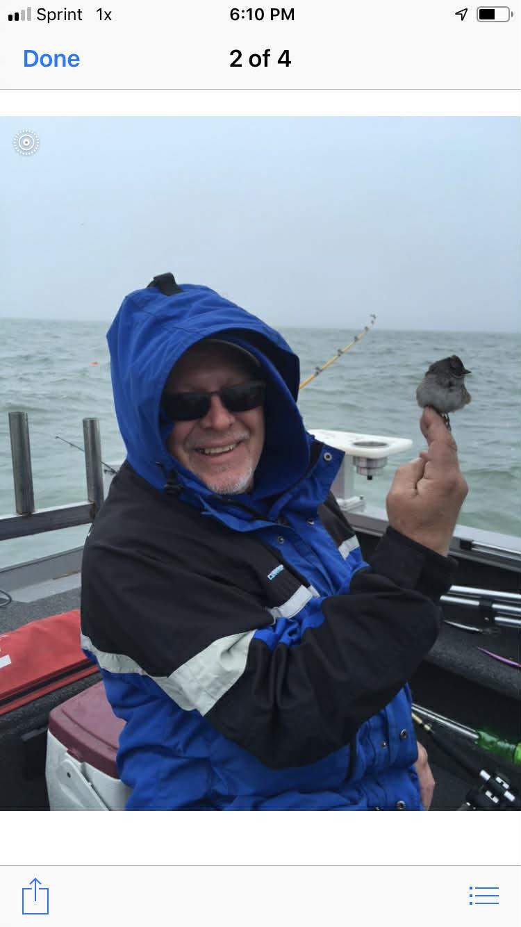 A man in a blue jacket holding a bird on a boat